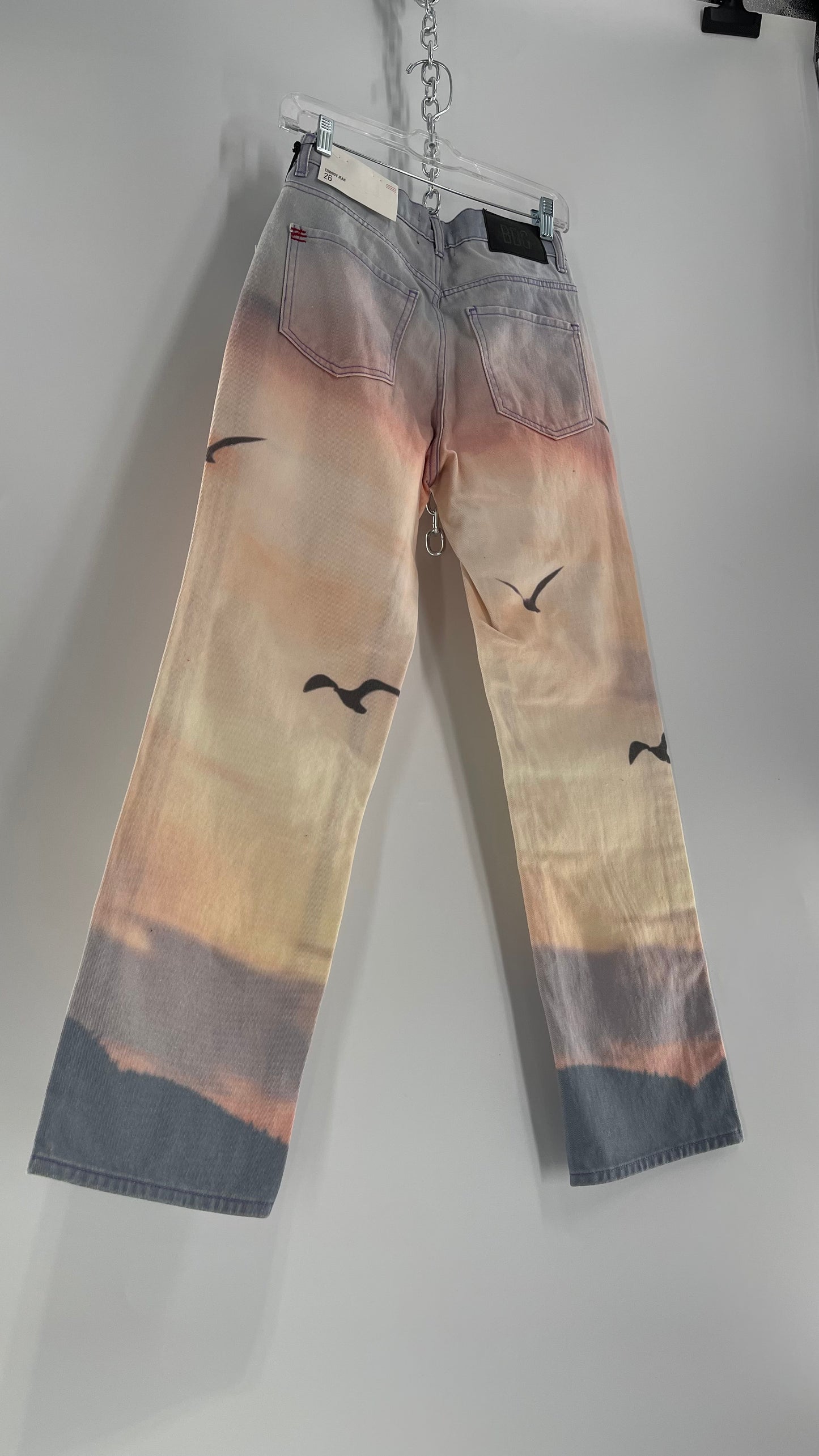 BDG Urban Outfitters Lilac Pink Horizon Line, Skyline Graphic Jeans (26)