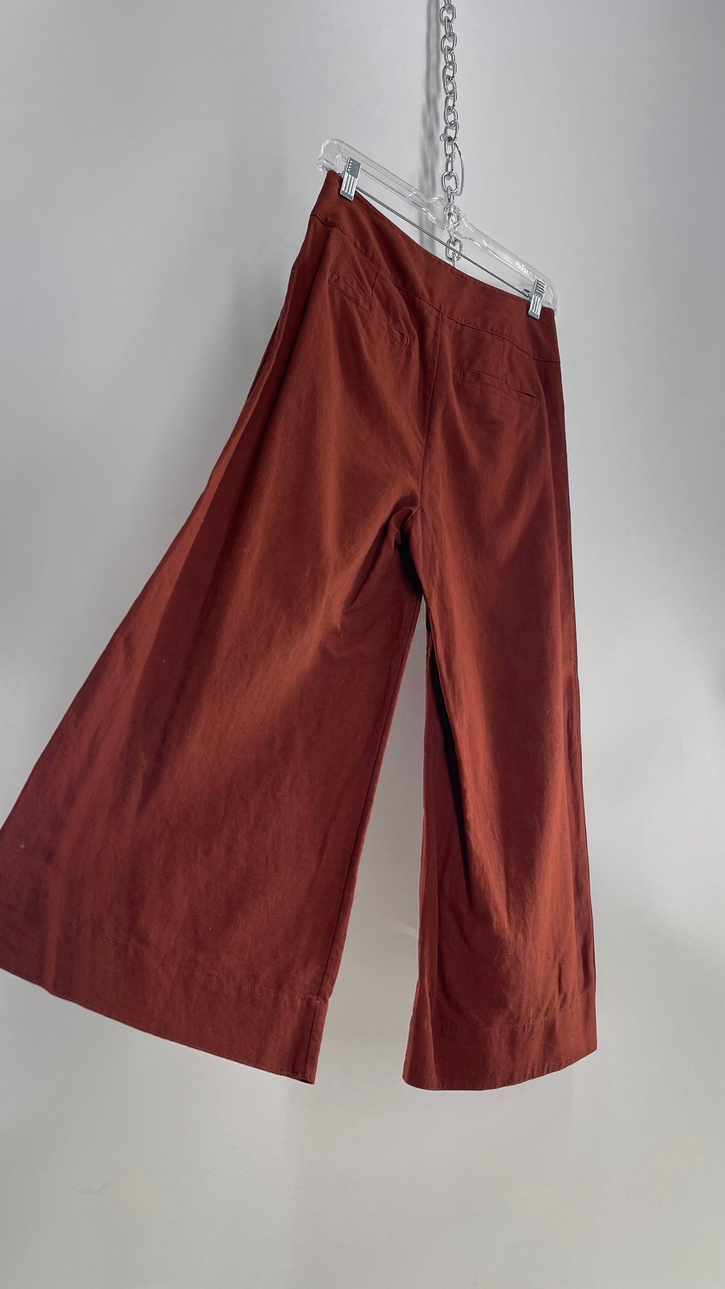 Anthropologie Brown Cotton Wide Leg Pants with Bronze Button Detailing (0)