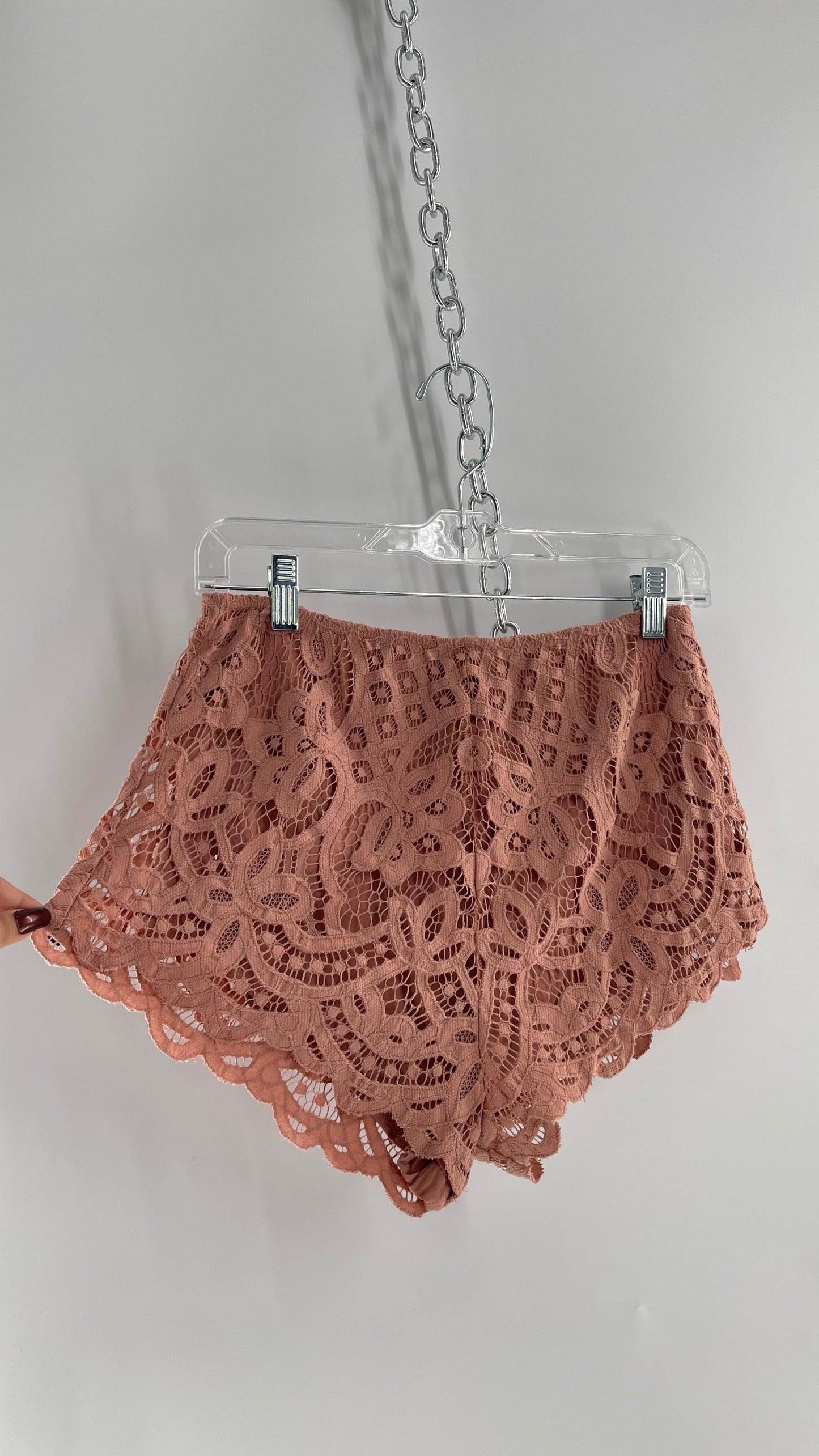 Intimately Free People Dusty Pink Lace Shorts (Small)