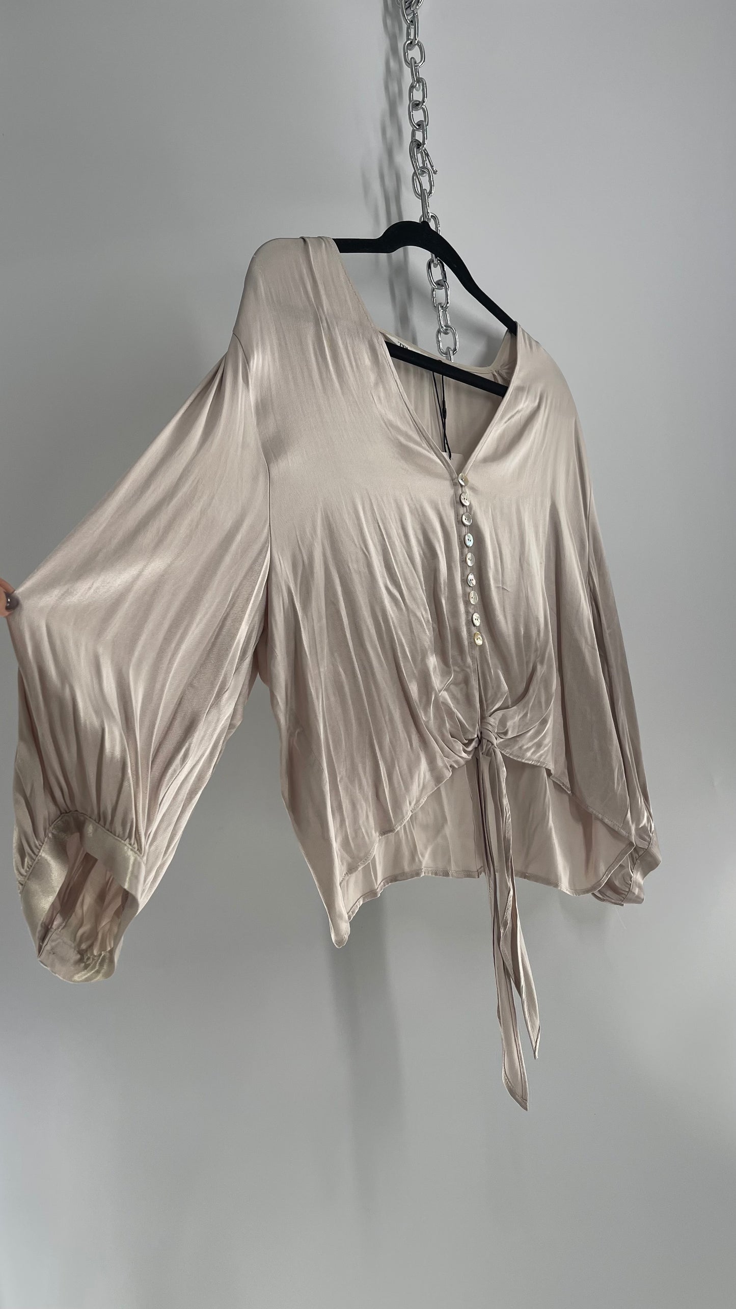 ZARA Silky Long Sleeve Champagne Blouse with Tags Attached (XL)