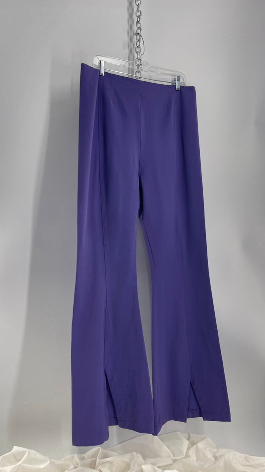 Free People Purple Flares with Pleated Front, Pointed Back Stitching, and Vented Hem (XL)