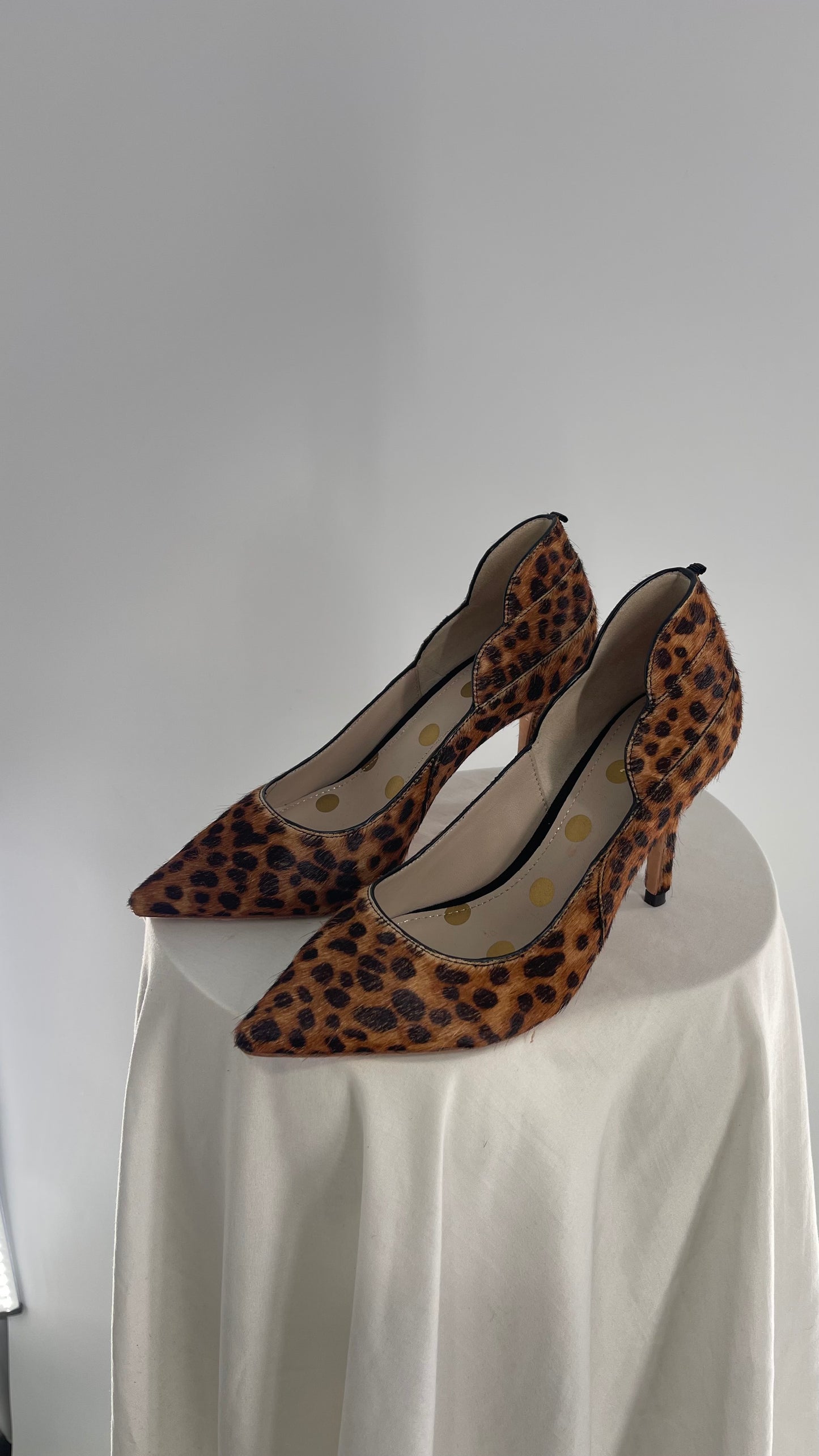 Boden Pony/Cow Hair Cheetah Patterned Pointed Heel (37.5)