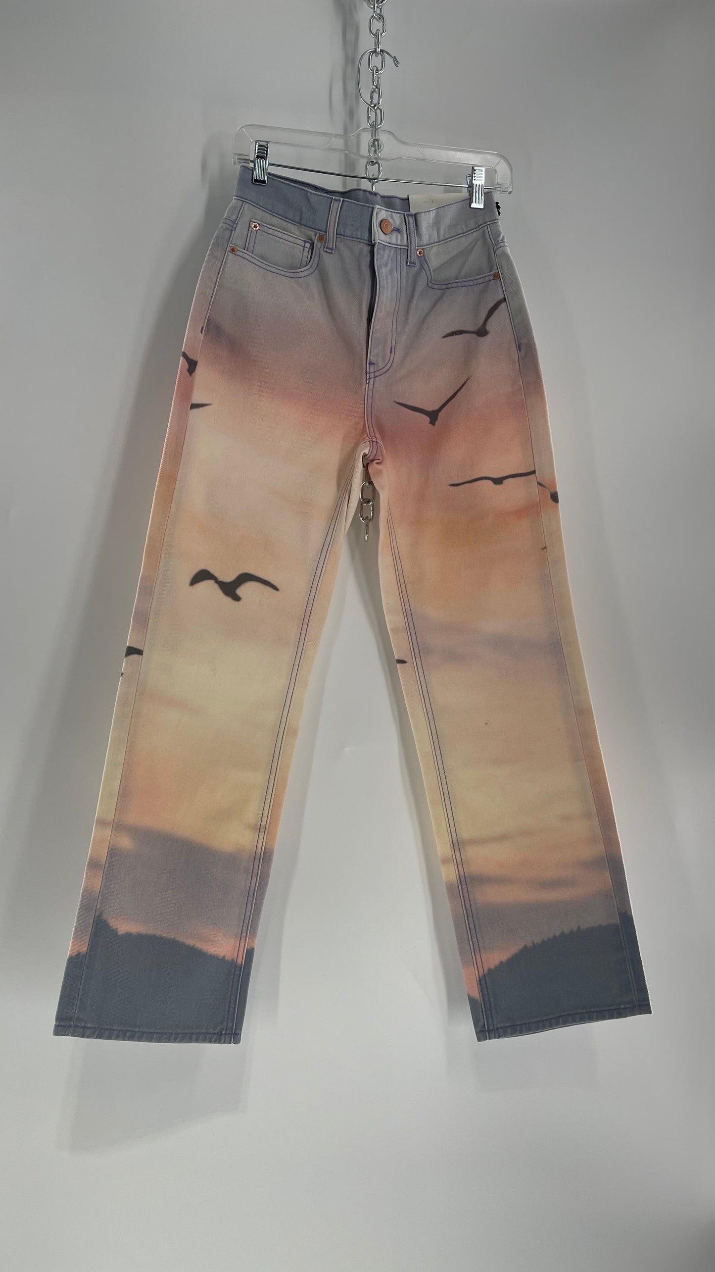 BDG Urban Outfitters Lilac Pink Horizon Line, Skyline Graphic Jeans (26)