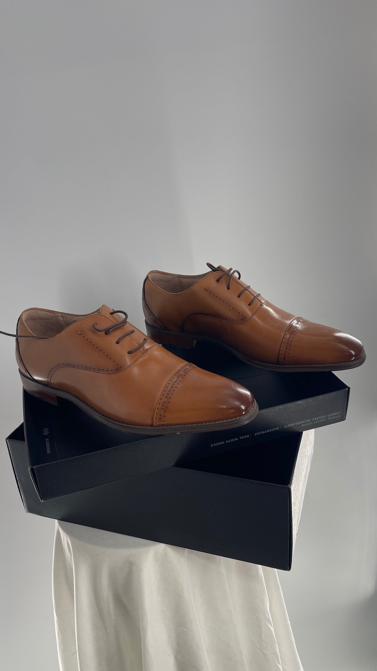 STACY ADAMS Cognac Camel Brown Leather Captoe Oxfords (12)