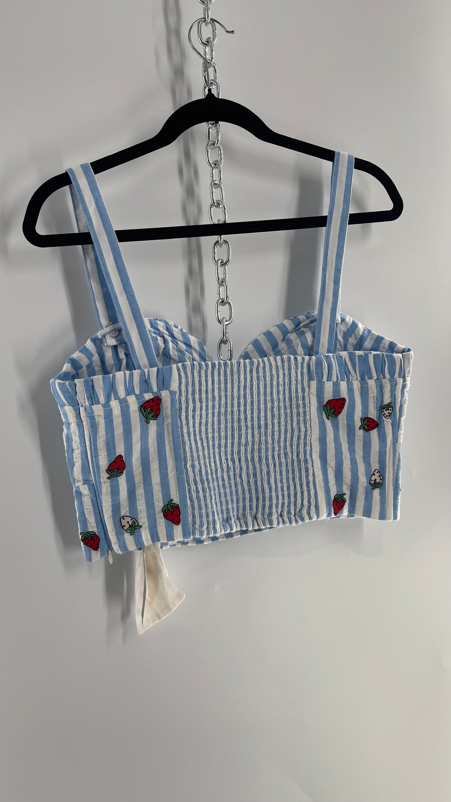 Maeve Anthropologie Baby Blue White Striped Corset Like Crop with Embroidered Strawberries with Tags Attached (12)