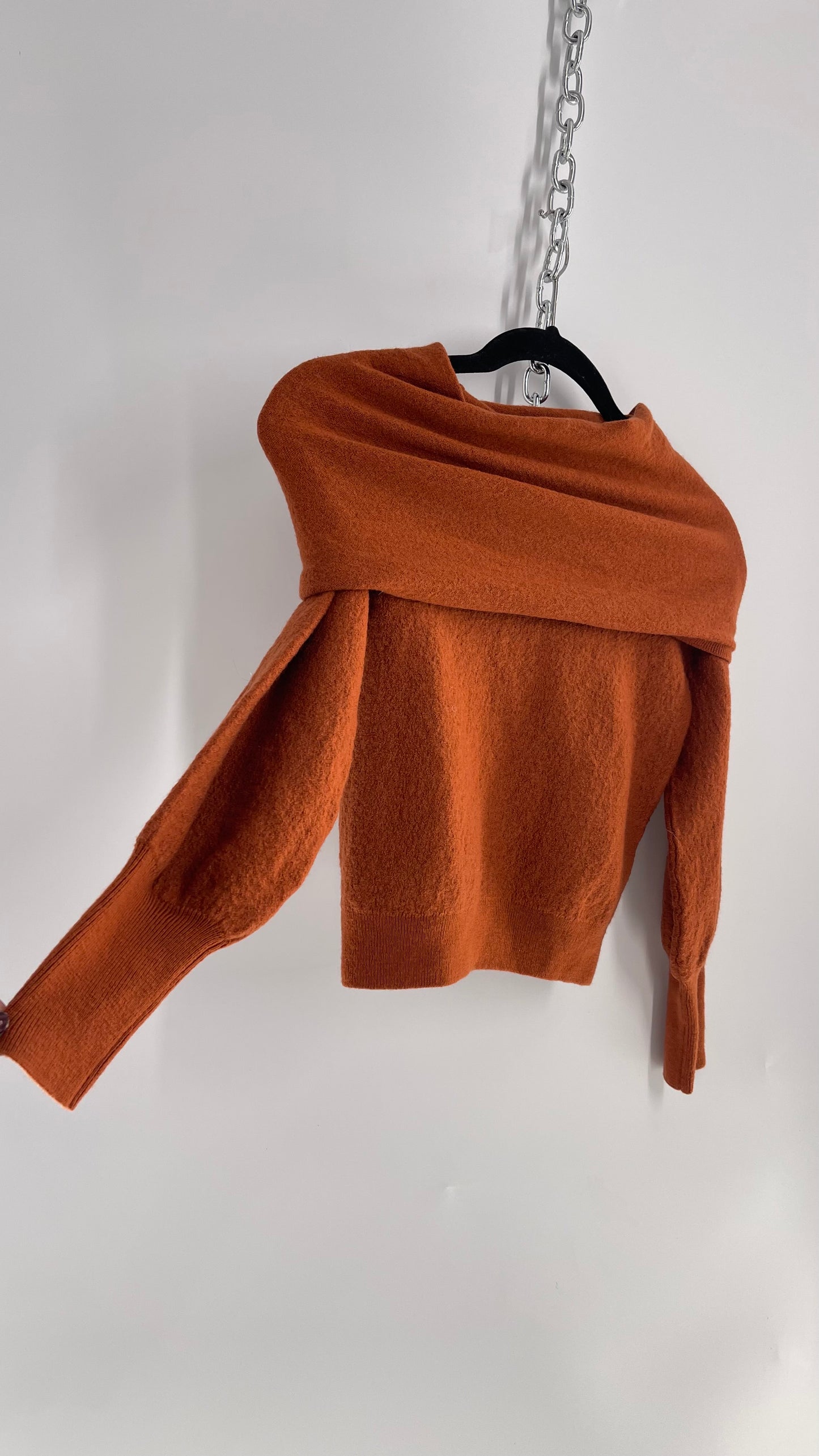 Anthropologie Burnt Orange 100% Merino Wool  (Small)