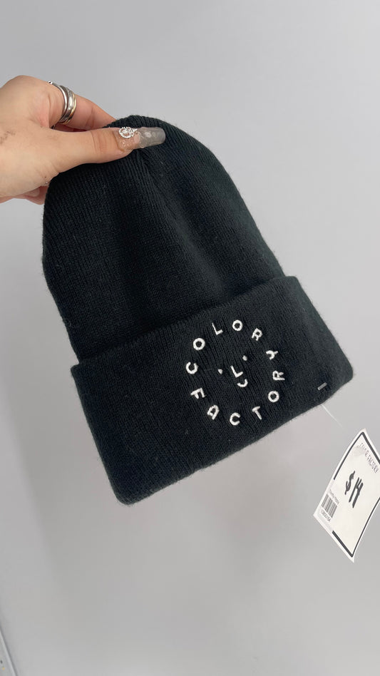 Color Factory NYC Novelty Beanie