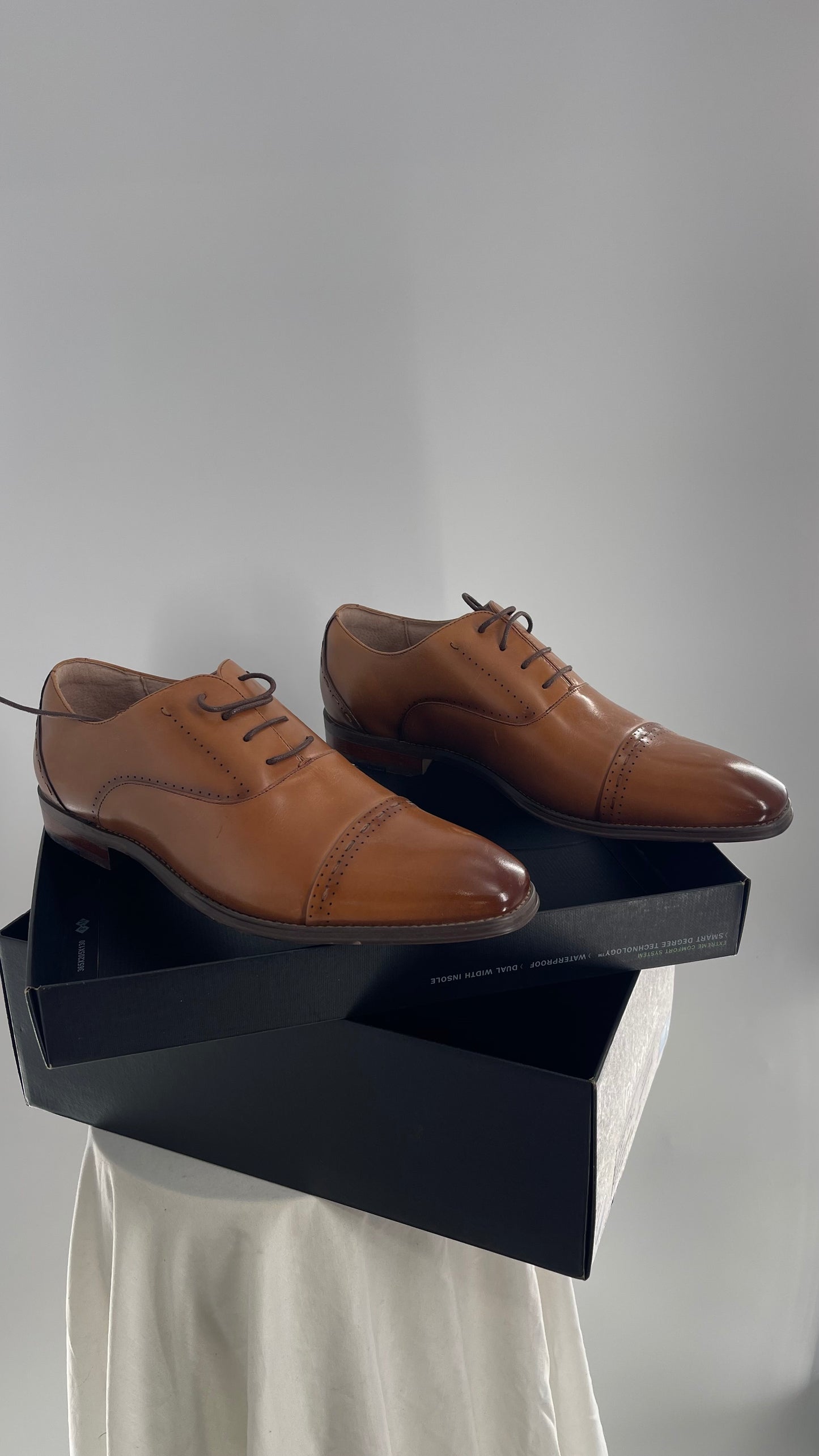 STACY ADAMS Cognac Camel Brown Leather Captoe Oxfords (12)