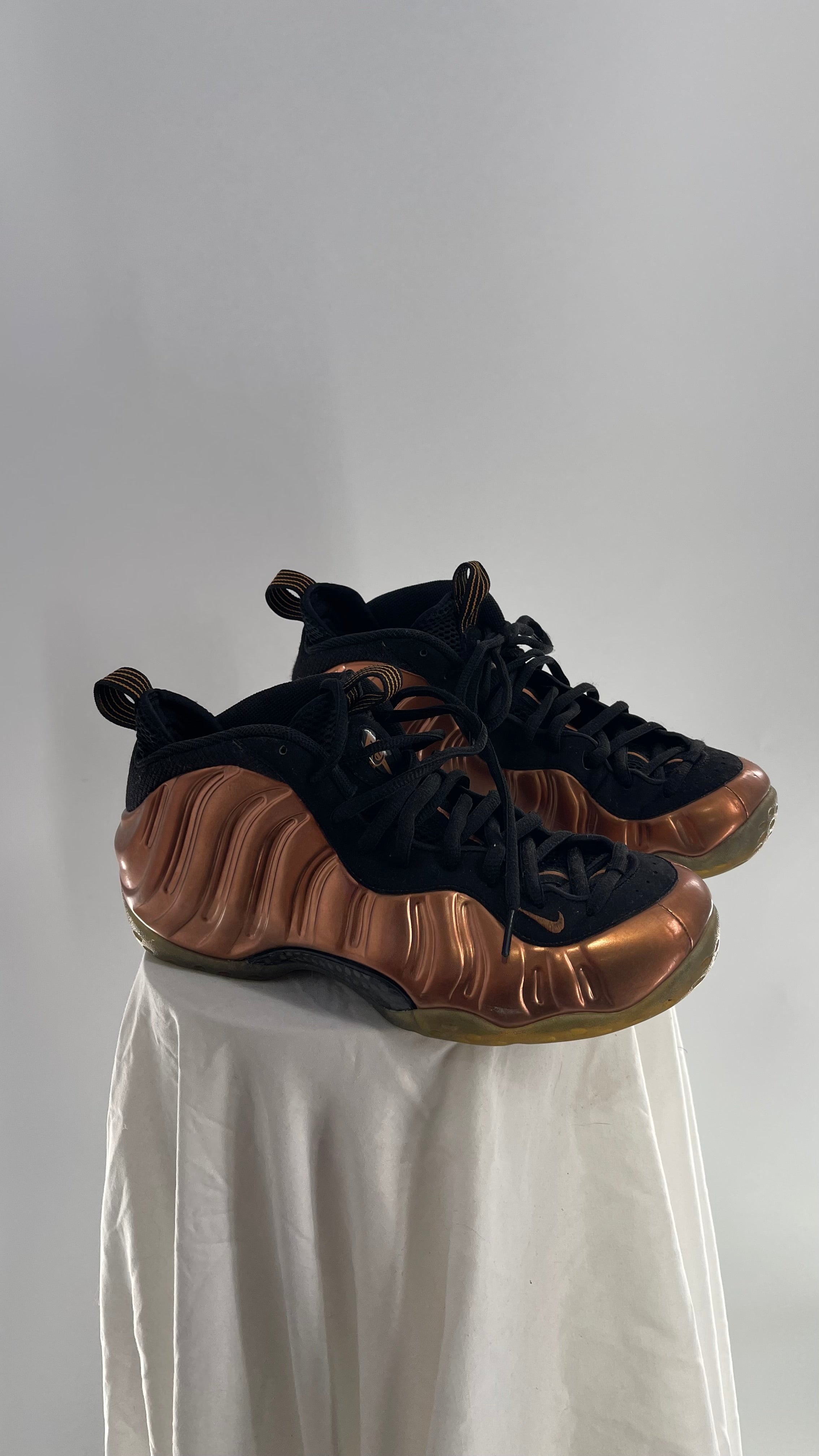 Nike foamposite store 9.5