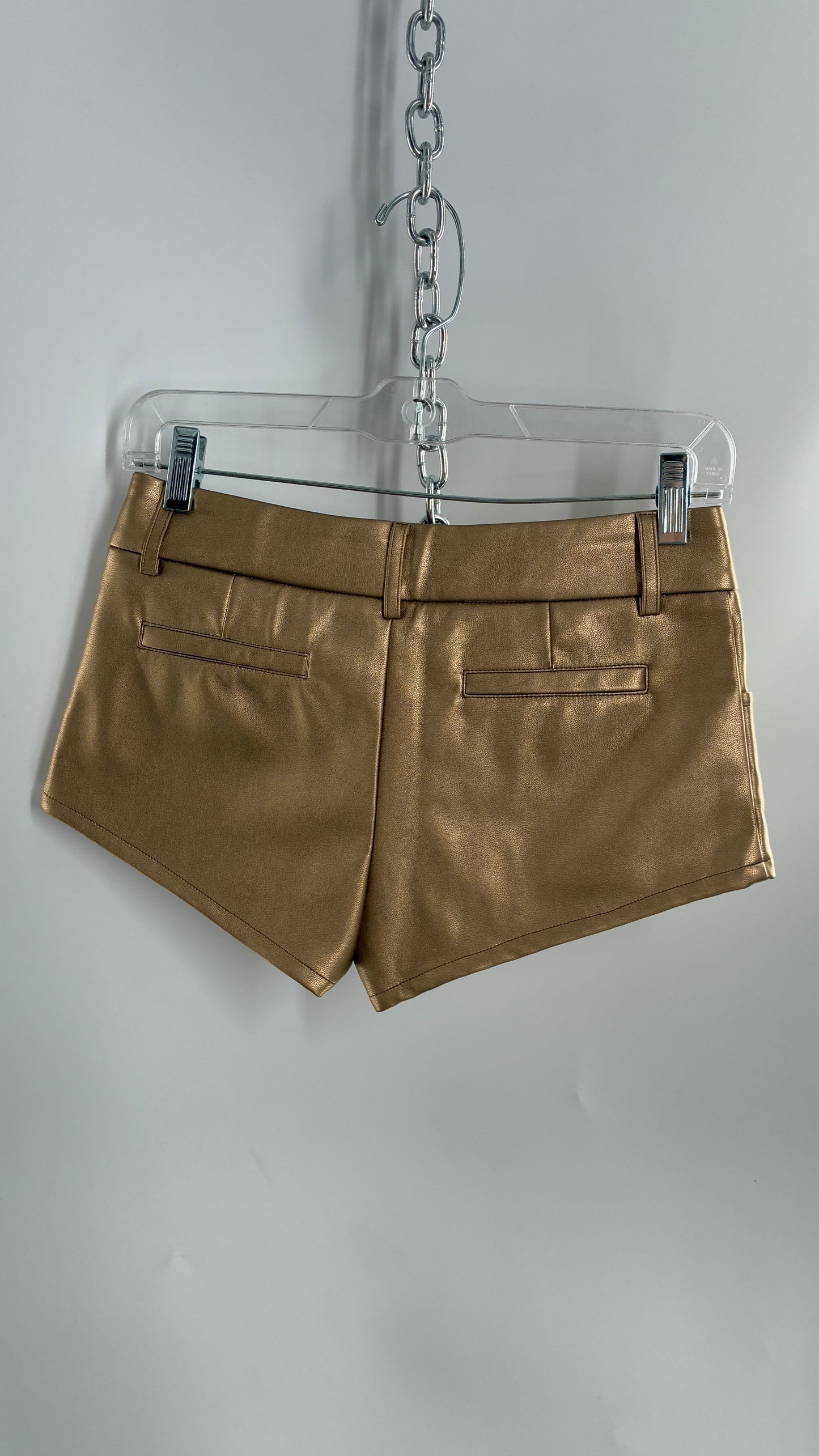 EDIKTED Gold Vegan Leather Low Waisted Hot Shorts (XS)