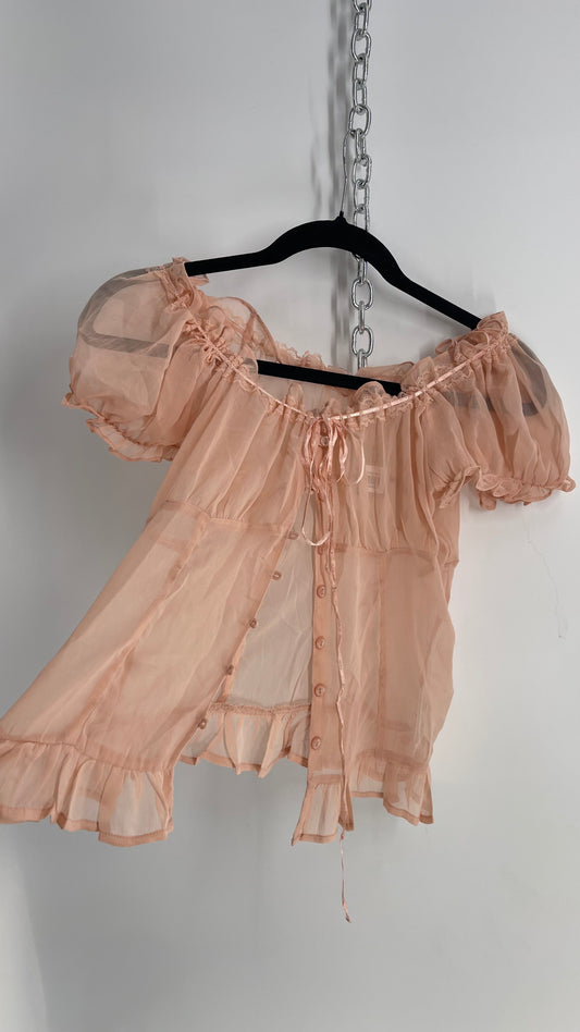 Urban Outfitters Dusty Pink Sheer Puff Sleeve Button Front Blouse  (Large)