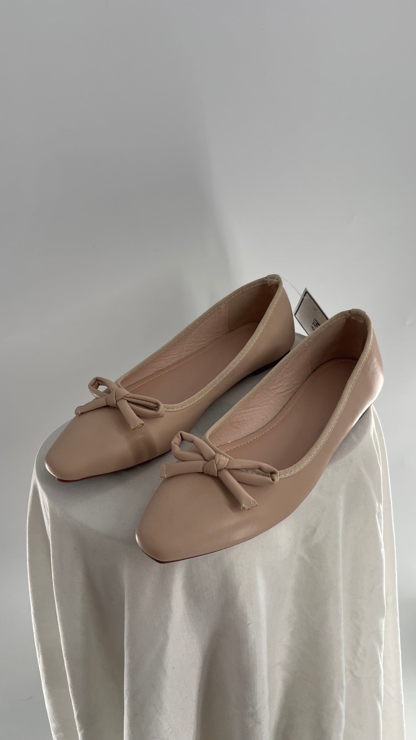 Pointed Toe Dusty Pink Ballet Flats (41)