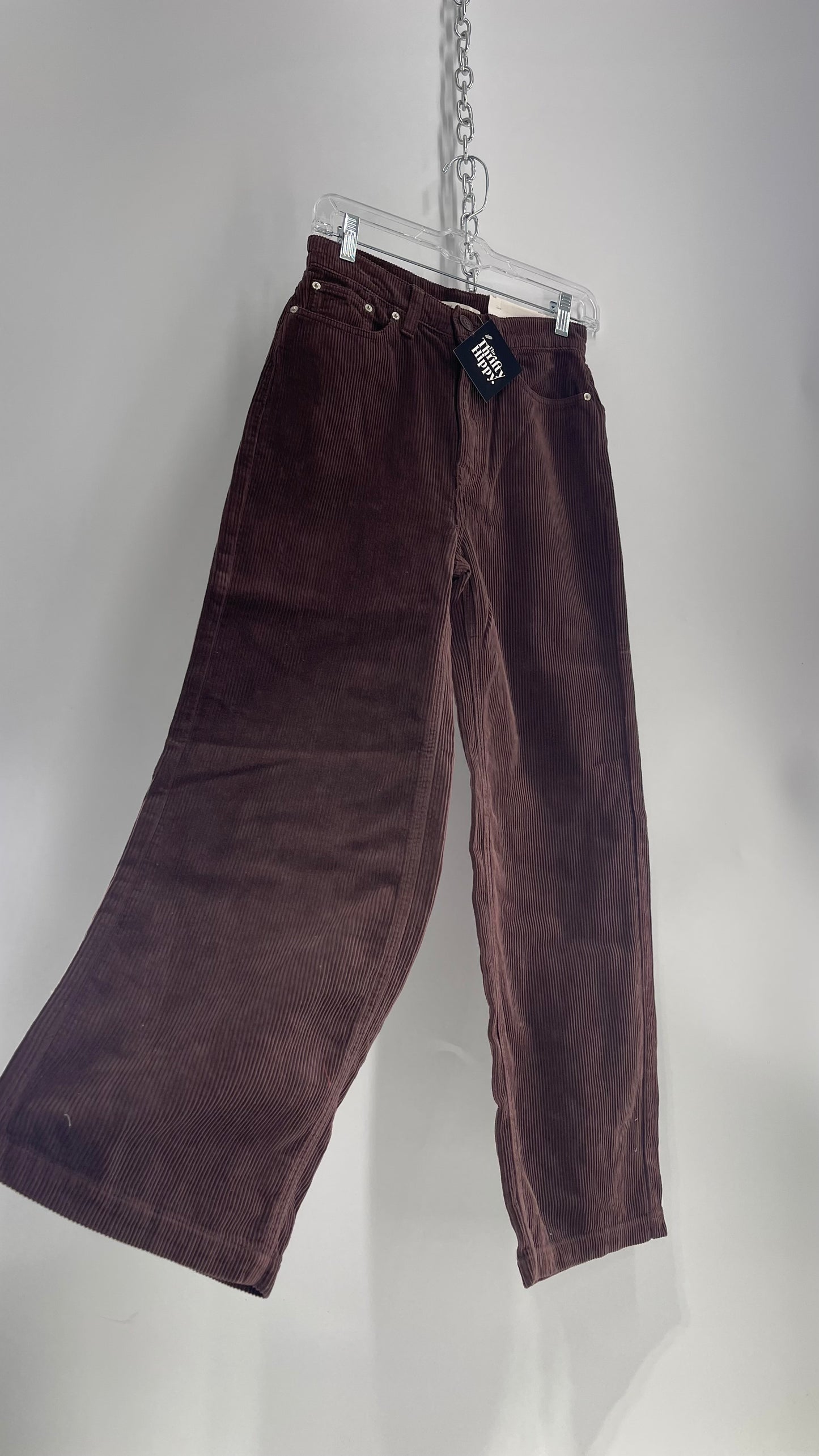 BDG High and Wide Brown Corduroy Baggy Pant with Tags Attached  (26)