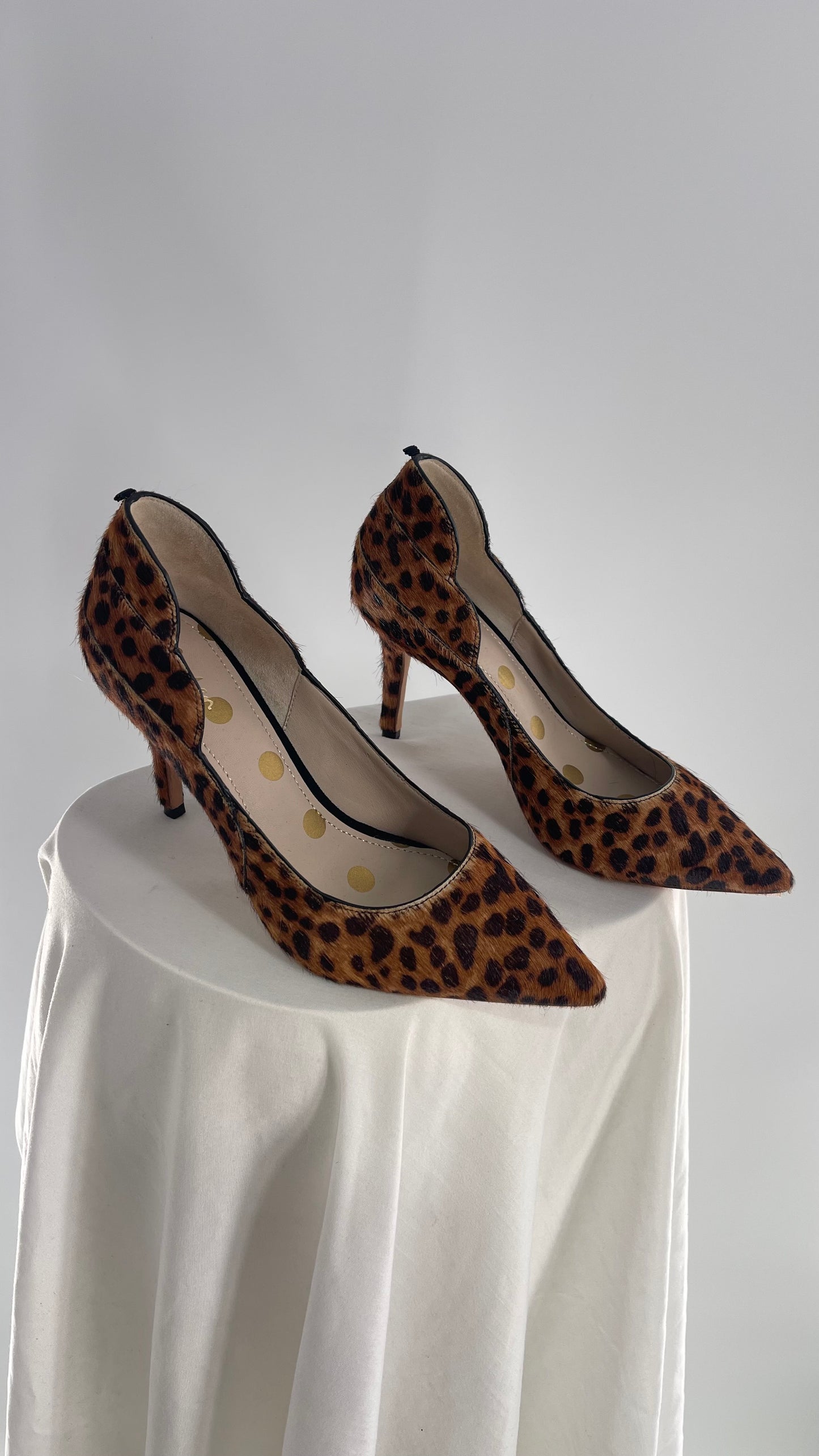 Boden Pony/Cow Hair Cheetah Patterned Pointed Heel (37.5)