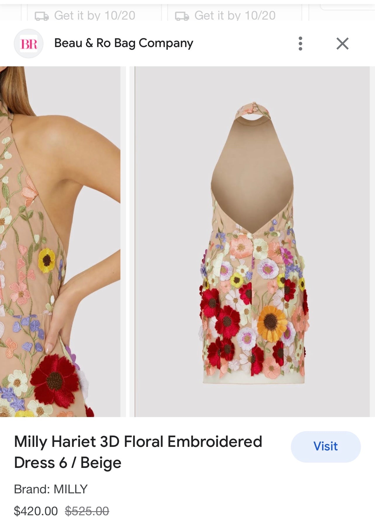 Mesh Backless Mini Dress with Halter Neckline covered in 3D Colorful Embroidered Flower Appliqués (Medium)