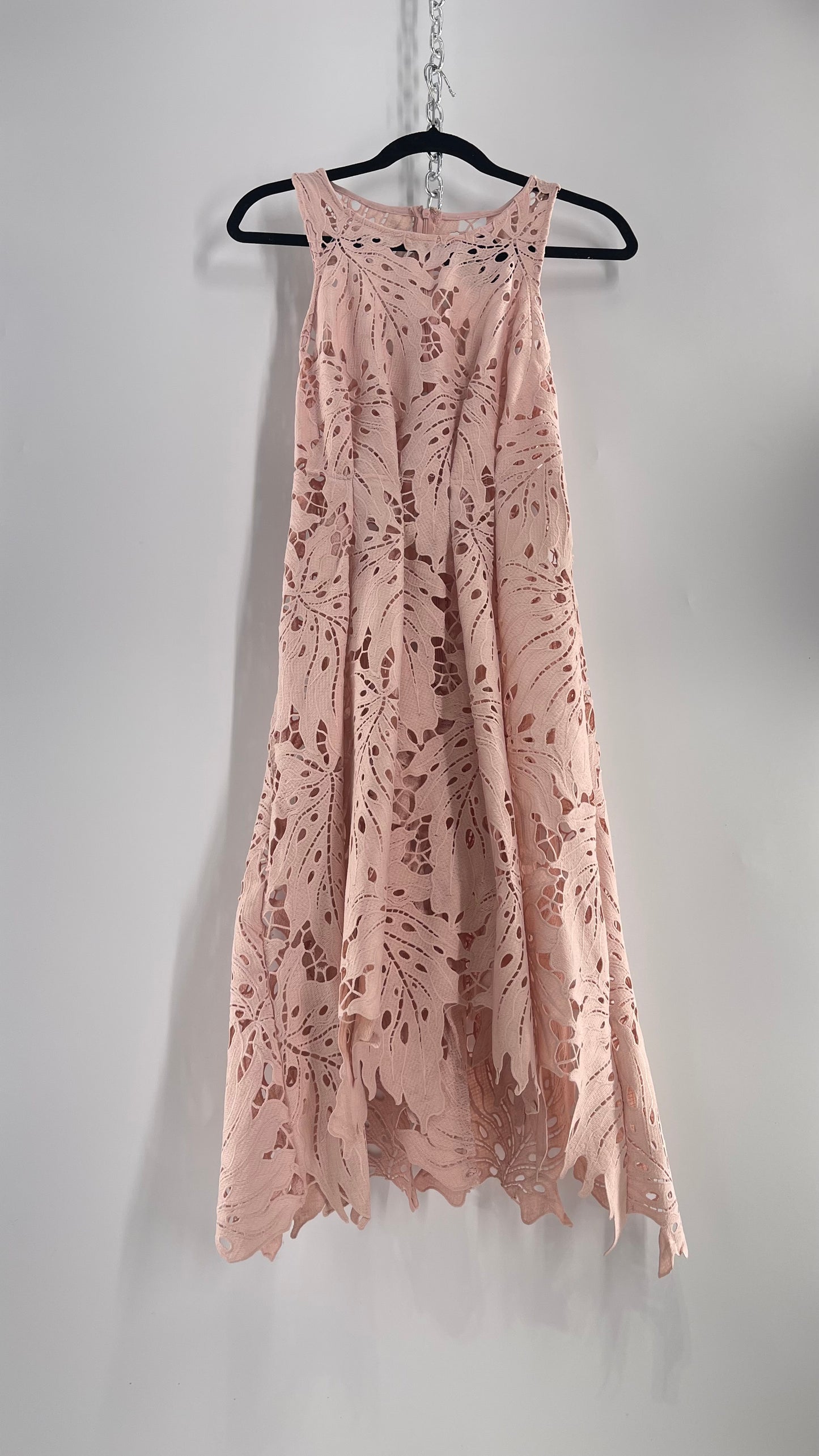 Anthropologie Eva Franco Baby Pink Completely Laser Cut Lace Palm Leaf Knee High Dress (2)