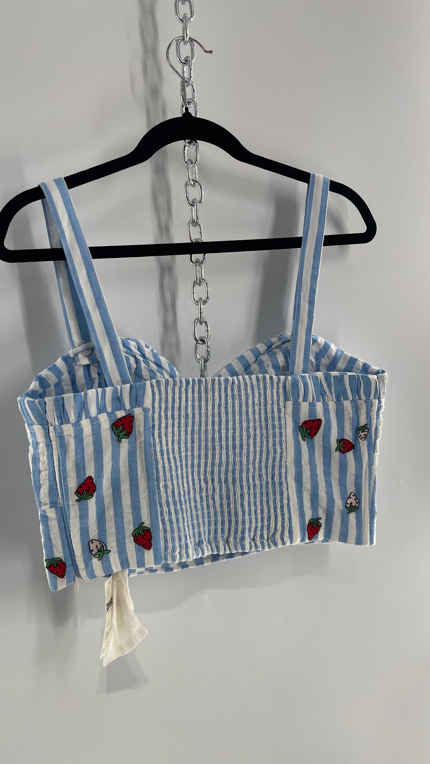 Maeve Anthropologie Baby Blue White Striped Corset Like Crop with Embroidered Strawberries with Tags Attached (12)