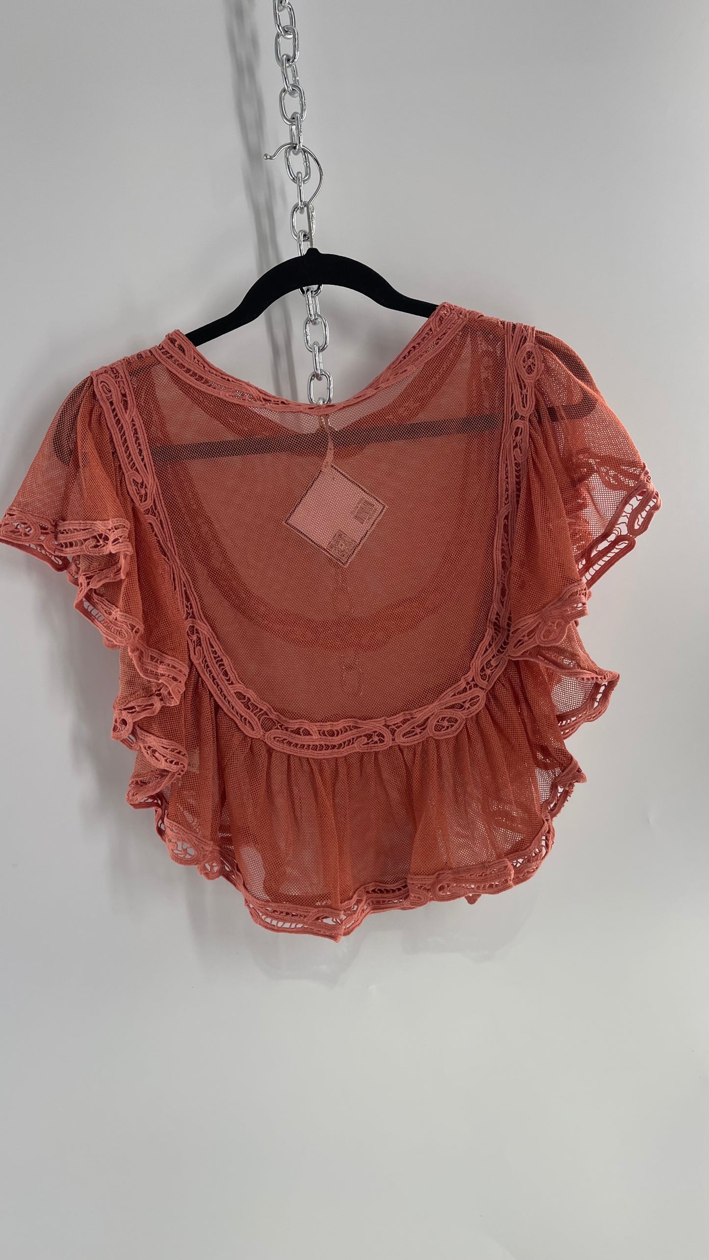 Free People I’m Pretty Okay Blush Pink Mesh Blouse with Ruffled Lace (Small)