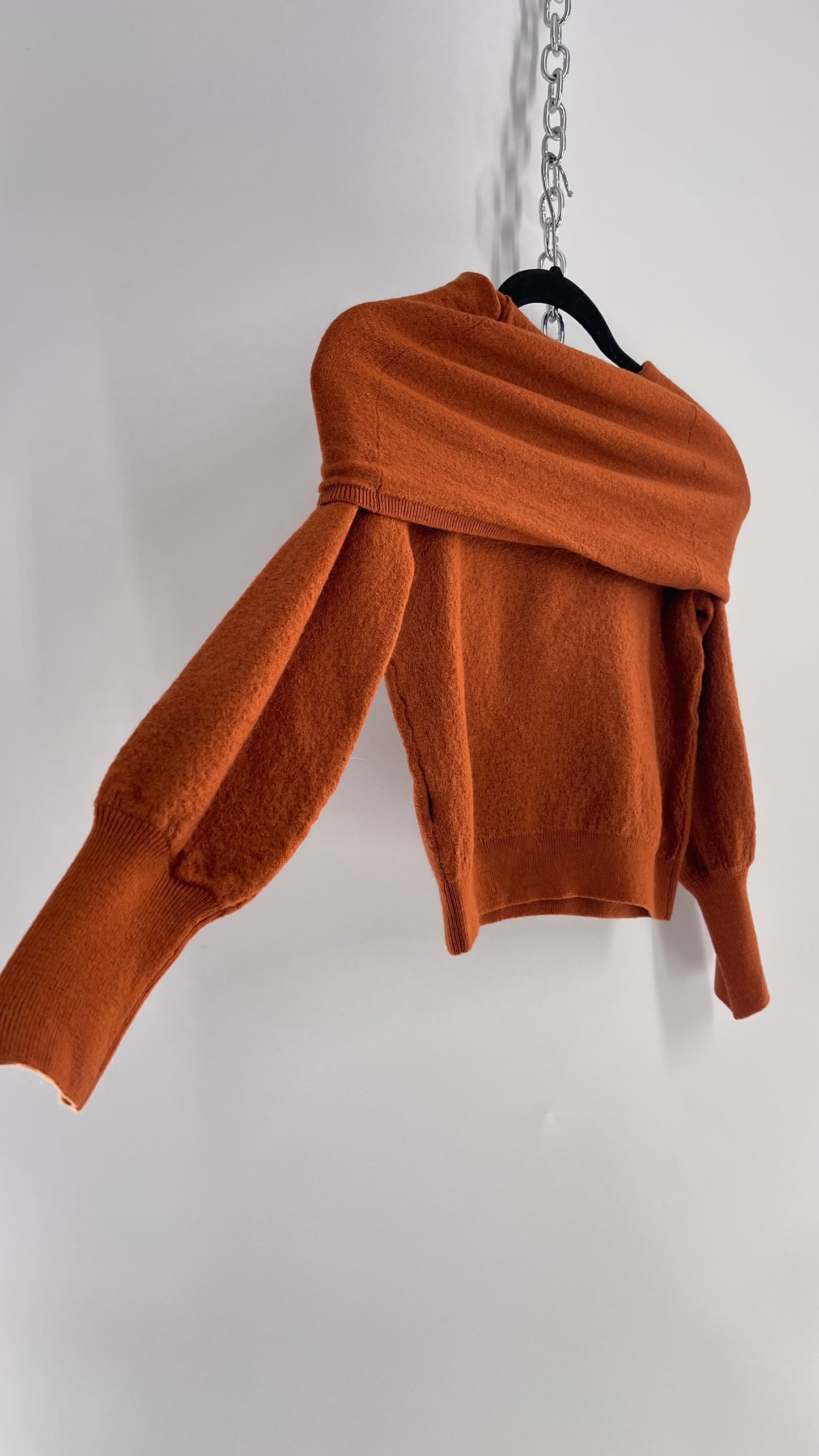 Anthropologie Burnt Orange 100% Merino Wool  (Small)