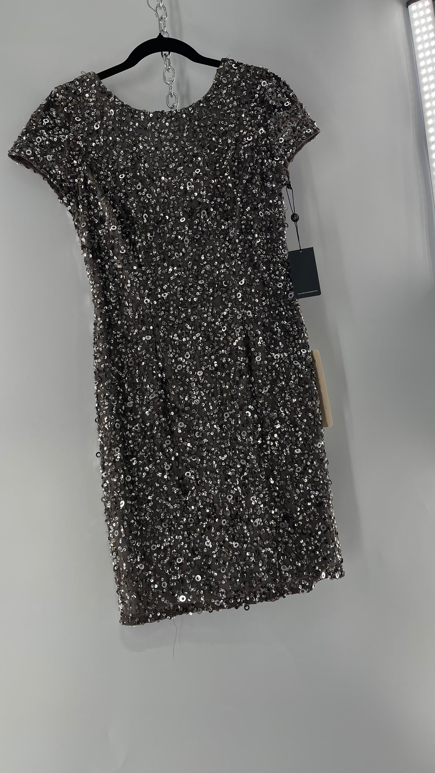 Adriana Papell Grey/Silver Short Sleeve Mini Dress Covered in Beads and Sequins (6)
