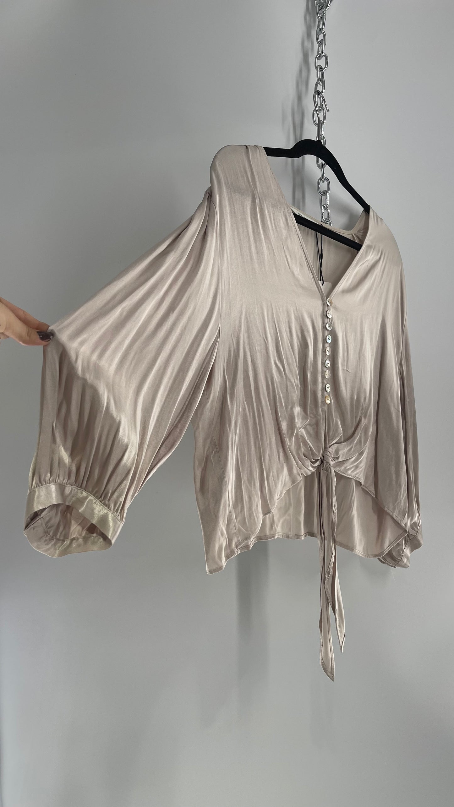 ZARA Silky Long Sleeve Champagne Blouse with Tags Attached (XL)