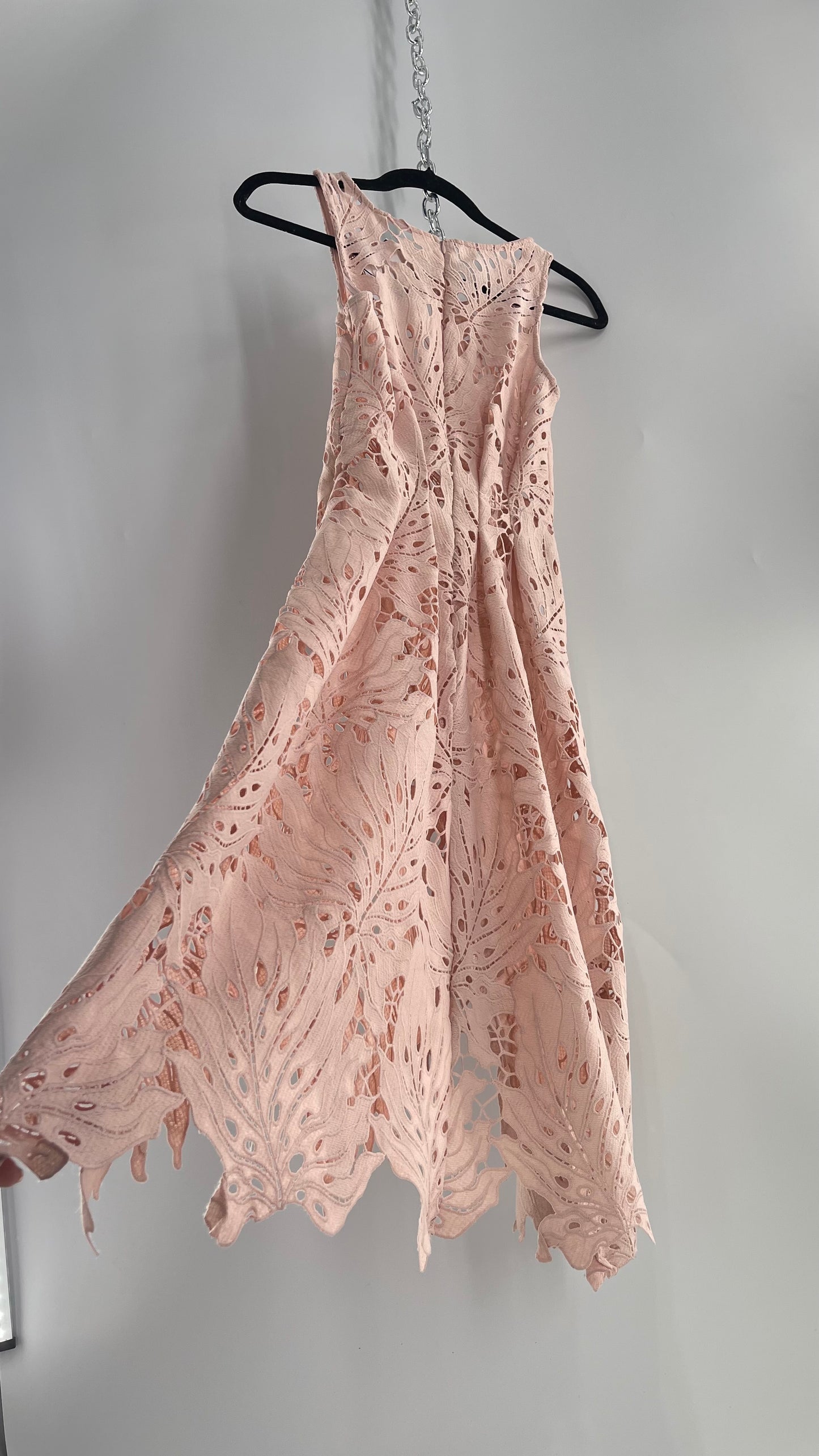 Anthropologie Eva Franco Baby Pink Completely Laser Cut Lace Palm Leaf Knee High Dress (2)