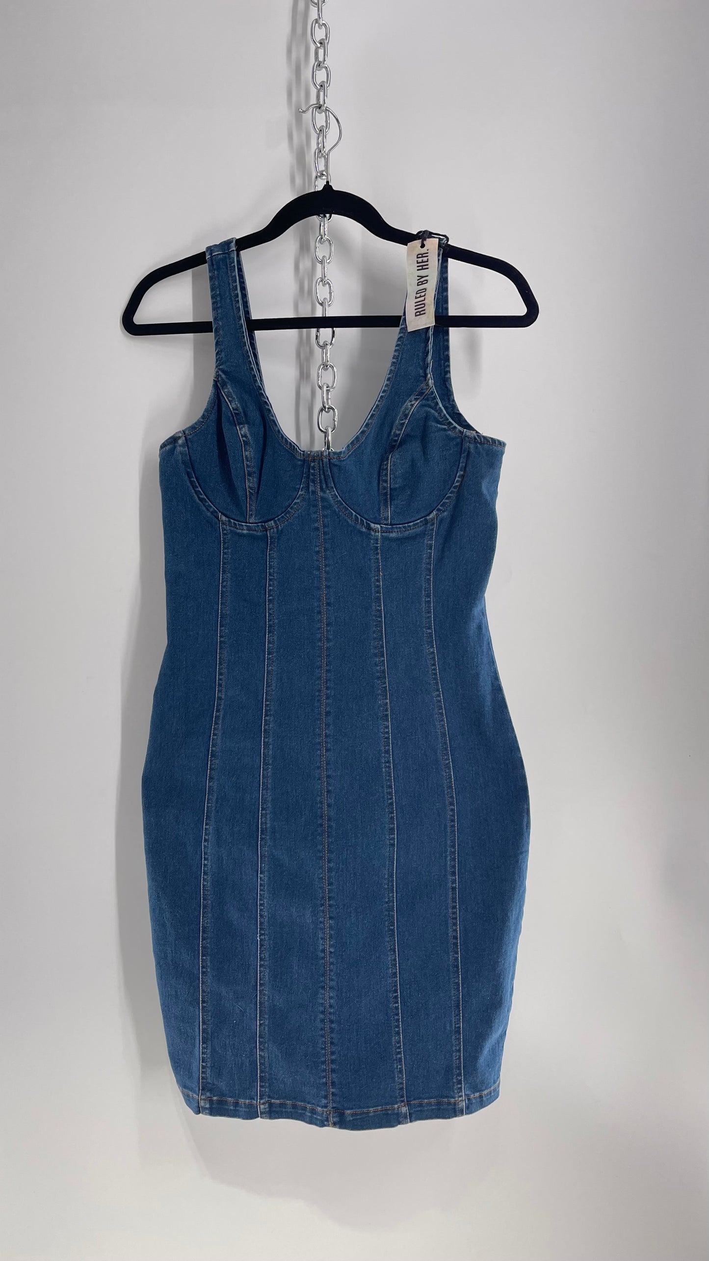 Ruled by Her Denim Body Con Dress with Tags Attached (Medium)