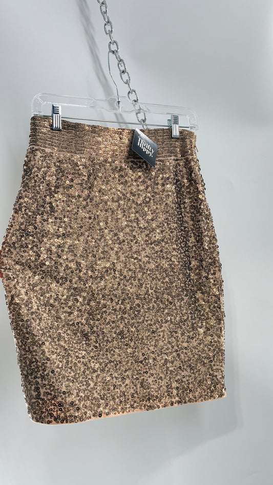 EXPRESS Sequin Bronze Skirt with Thick Band (XS)