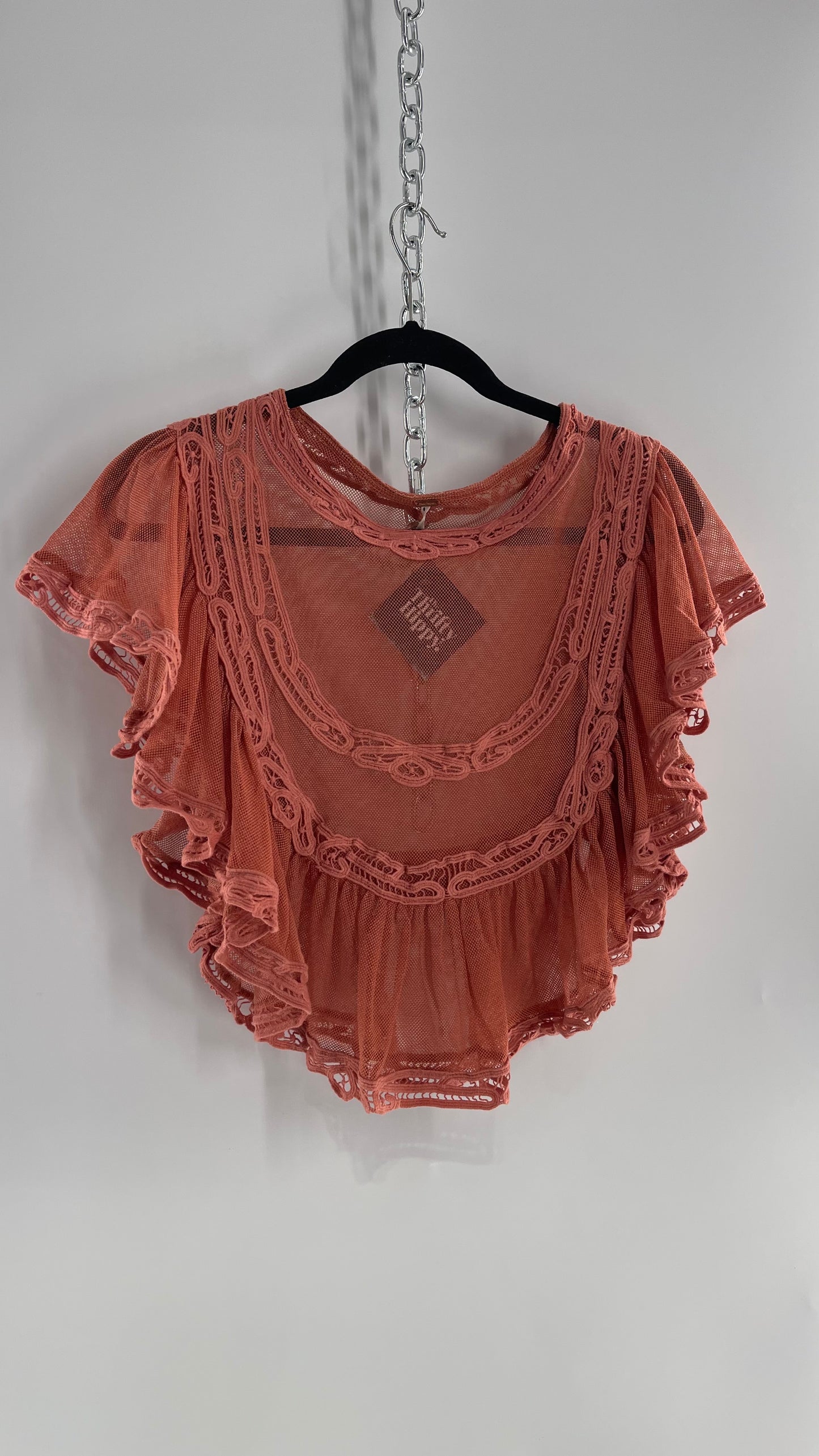 Free People I’m Pretty Okay Blush Pink Mesh Blouse with Ruffled Lace (Small)