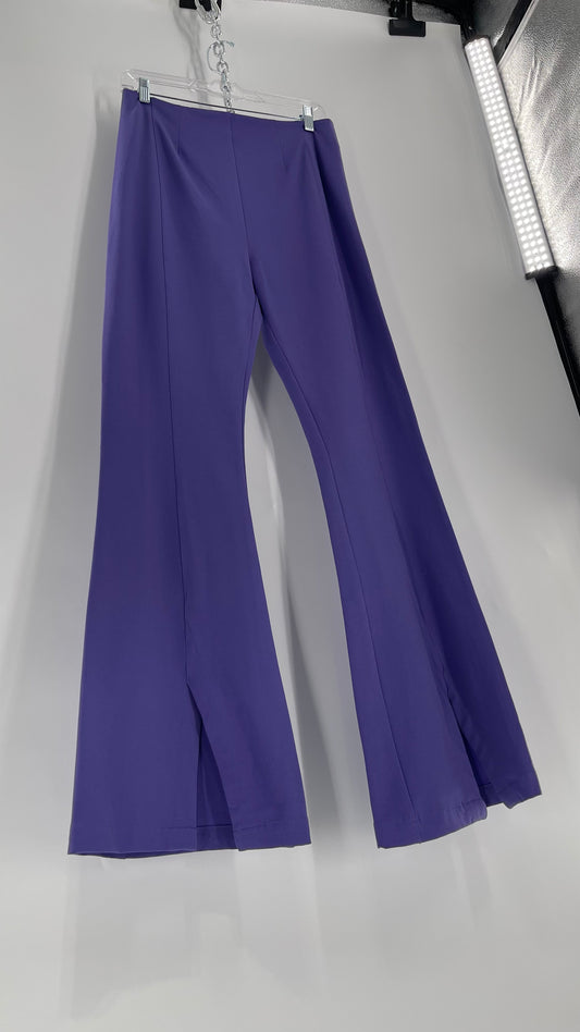 Free People Purple Knit Flares with Pleated Front and Pointed Back Stitching and Vented Hem  (Small)
