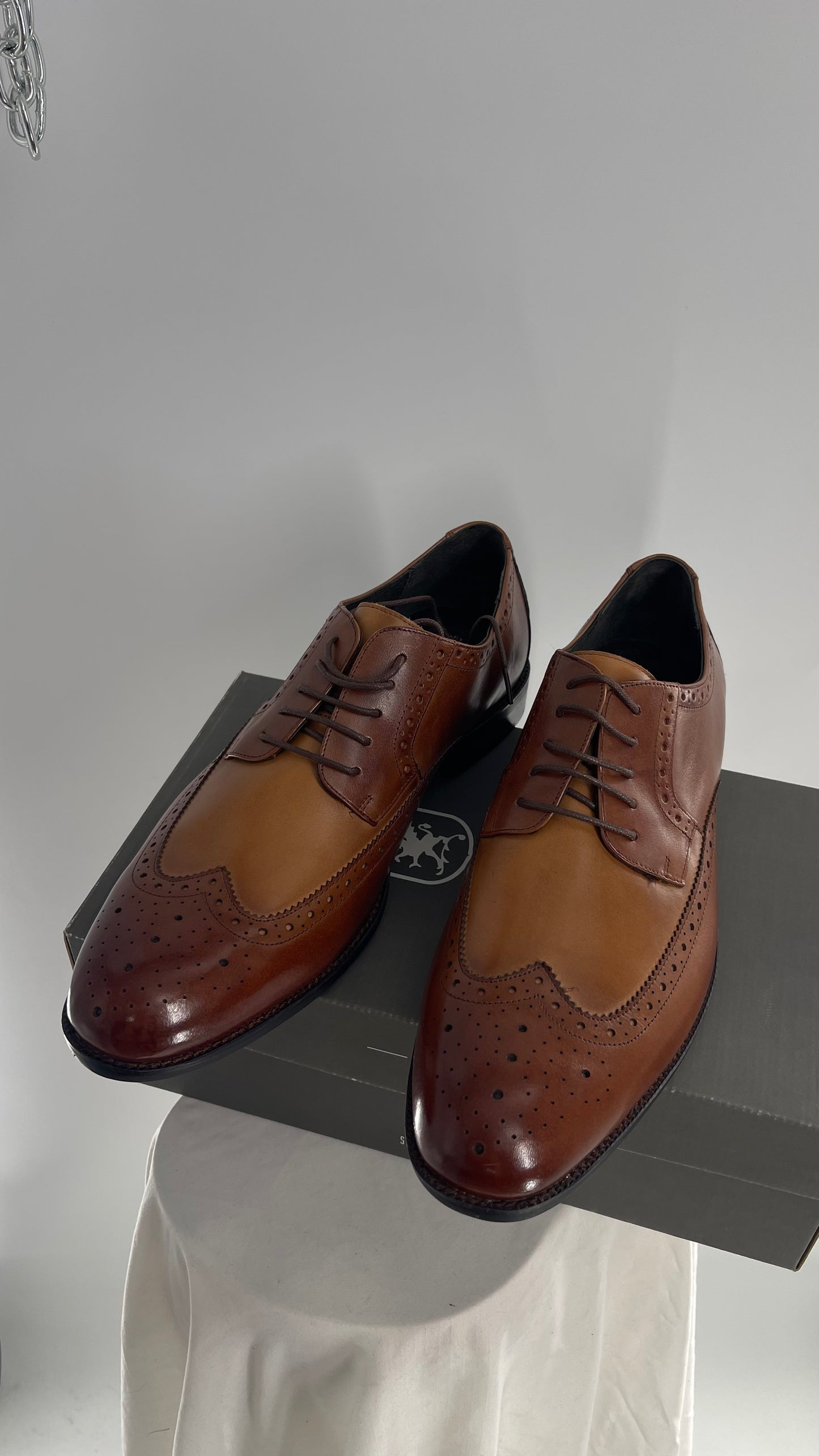 STACY ADAMS Brown and Tan Patent Leather Oxfords (13)