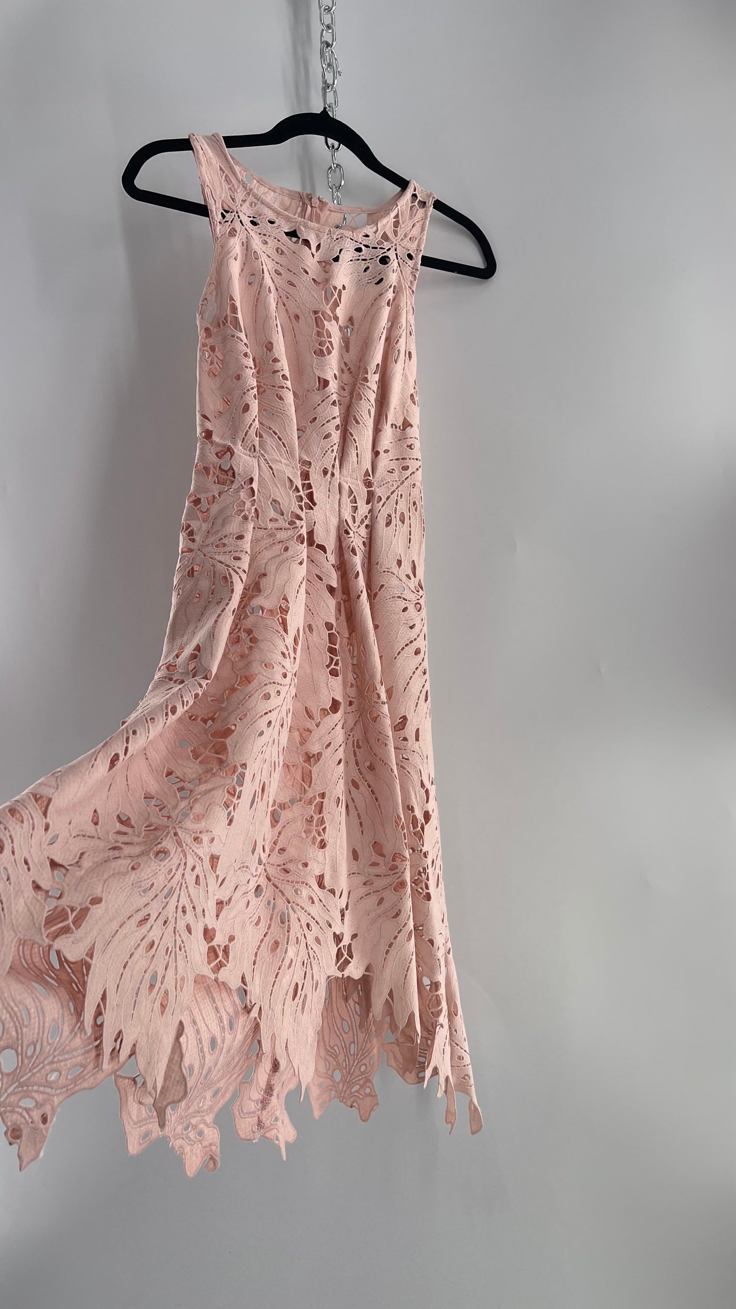 Anthropologie Eva Franco Baby Pink Completely Laser Cut Lace Palm Leaf Knee High Dress (2)