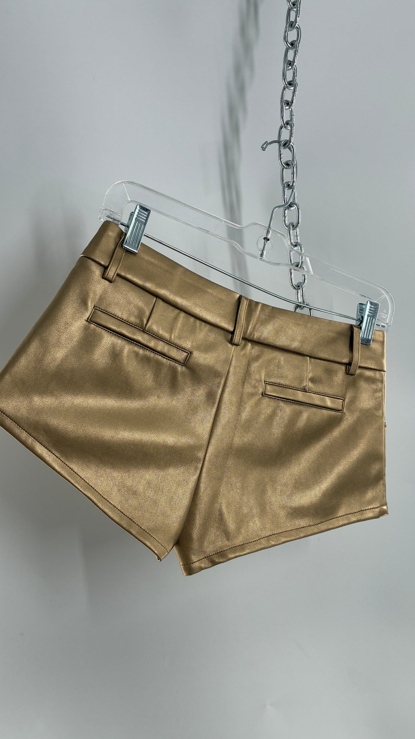EDIKTED Gold Vegan Leather Low Waisted Hot Shorts (XS)