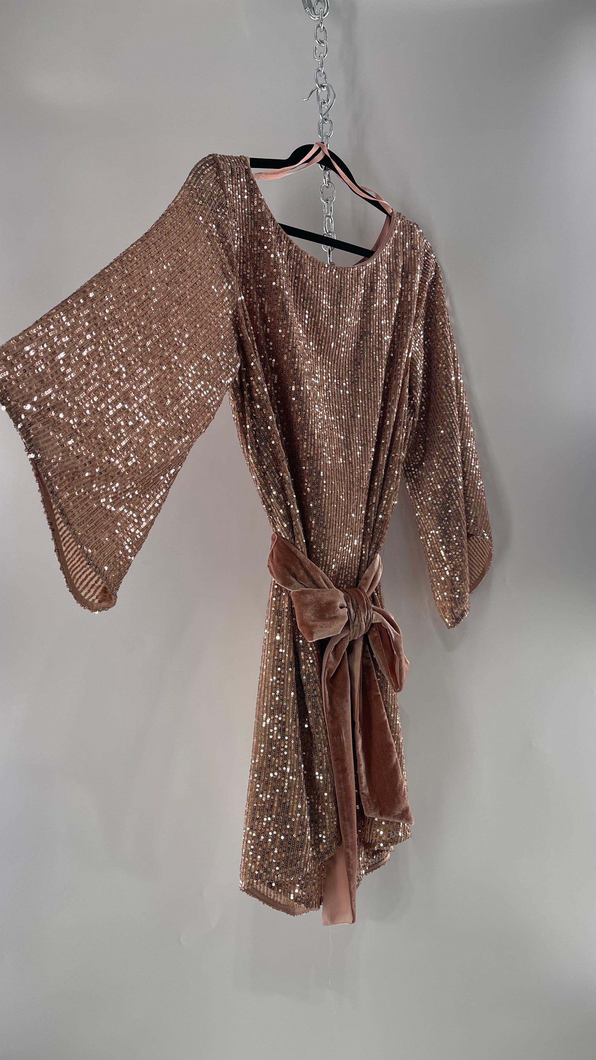 Anthropologie Rose Gold Sequin Dress with Velvet Waist Belt and Tags A The Thrifty Hippy Anthropologie Rose Gold Sequin Dress with Velvet Waist Belt and Tags A The Thrifty Hippy