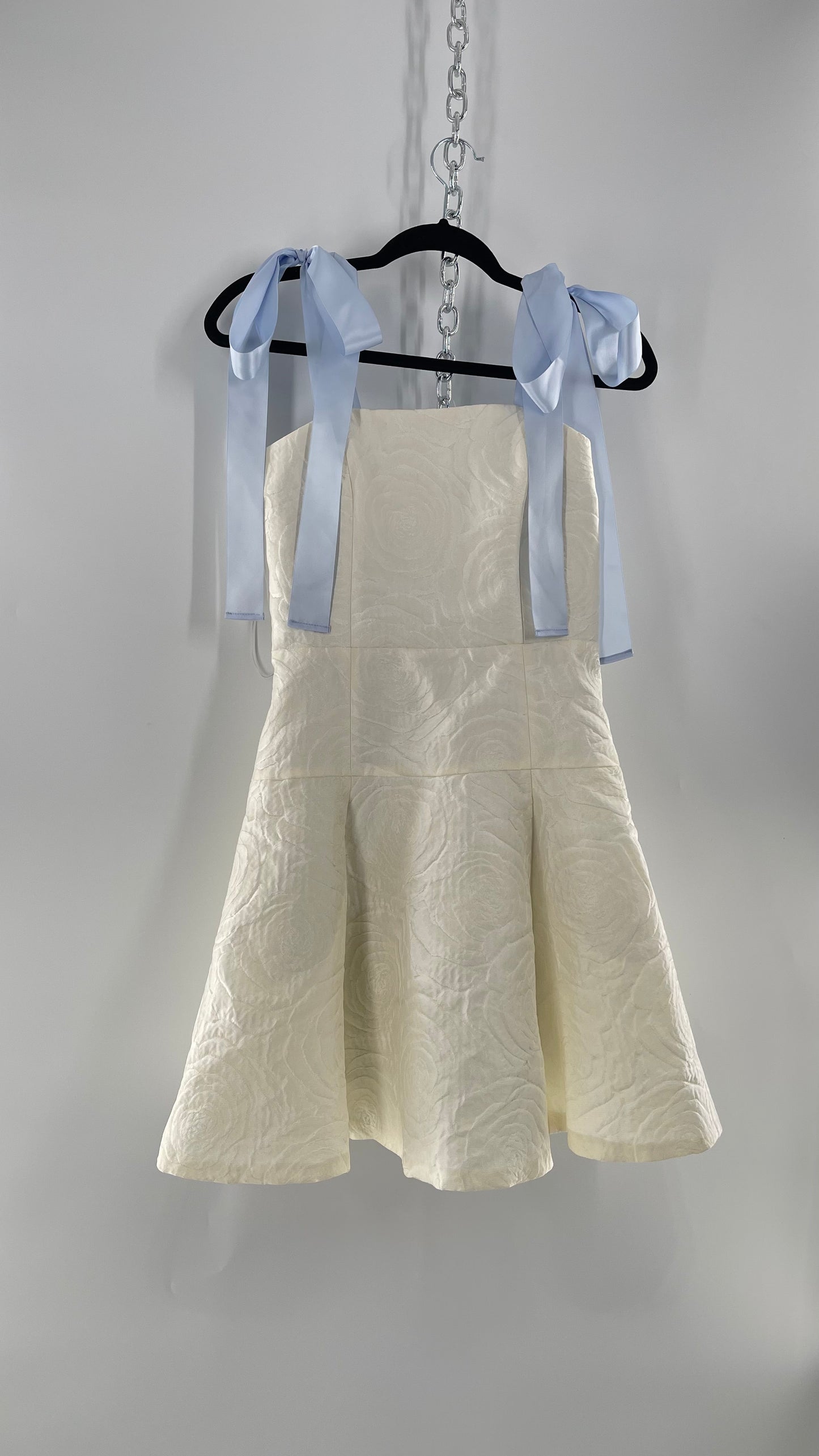 Jane Summers Hannah Bridal Shower and Wedding Reception Dress With Blue Ribbons (4)