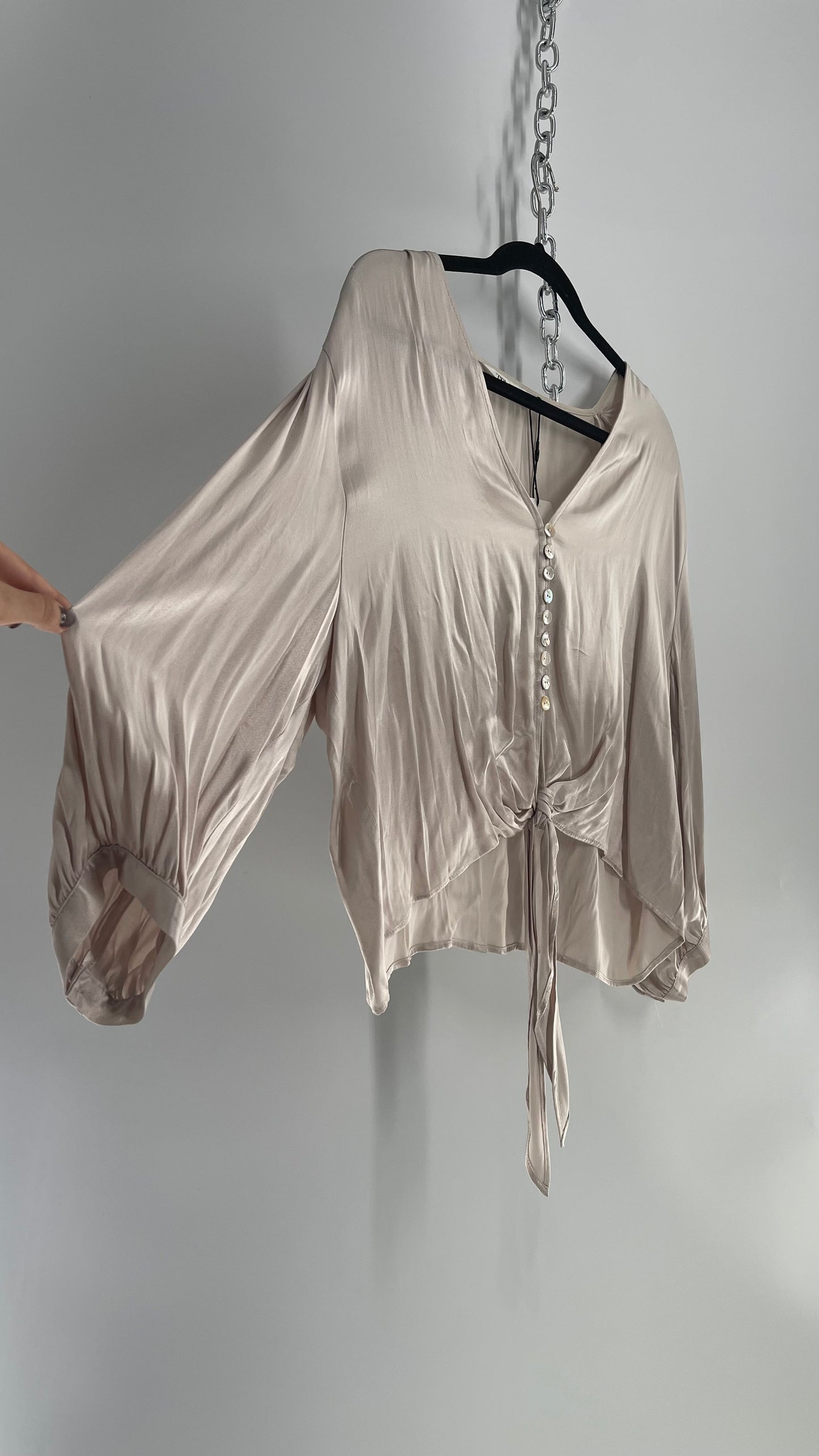 ZARA Silky Long Sleeve Champagne Blouse with Tags Attached (XL)