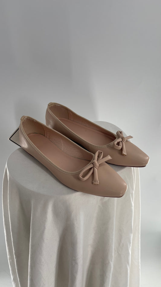 Pointed Toe Dusty Pink Ballet Flats (41)