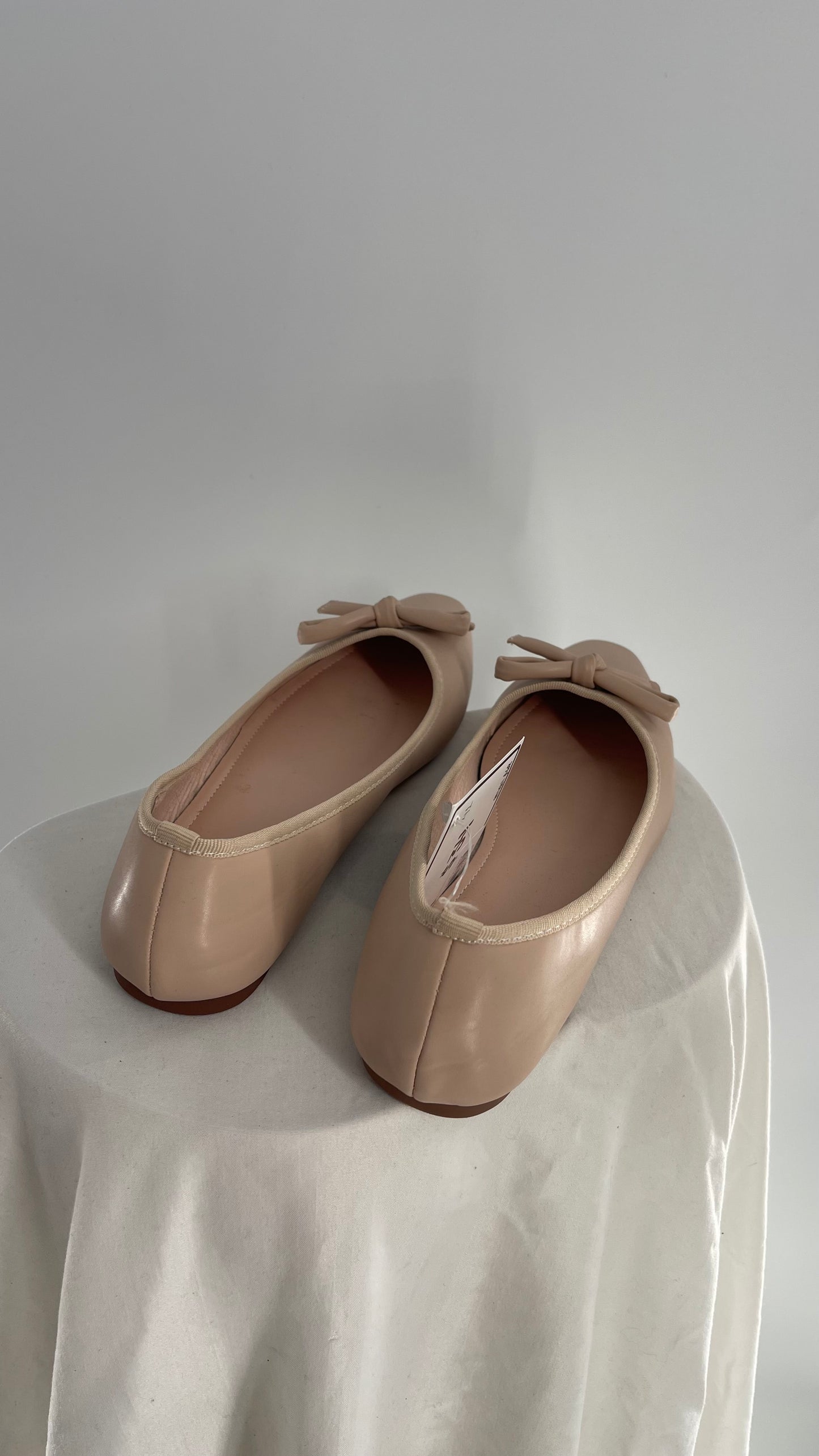 Pointed Toe Dusty Pink Ballet Flats (41)