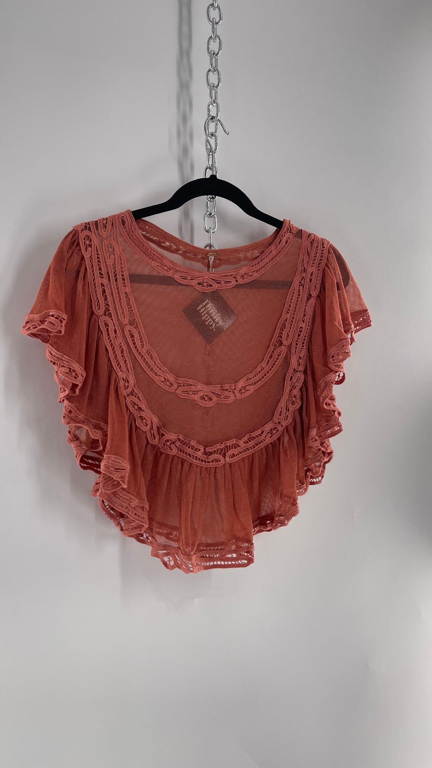 Free People I’m Pretty Okay Blush Pink Mesh Blouse with Ruffled Lace (Small)