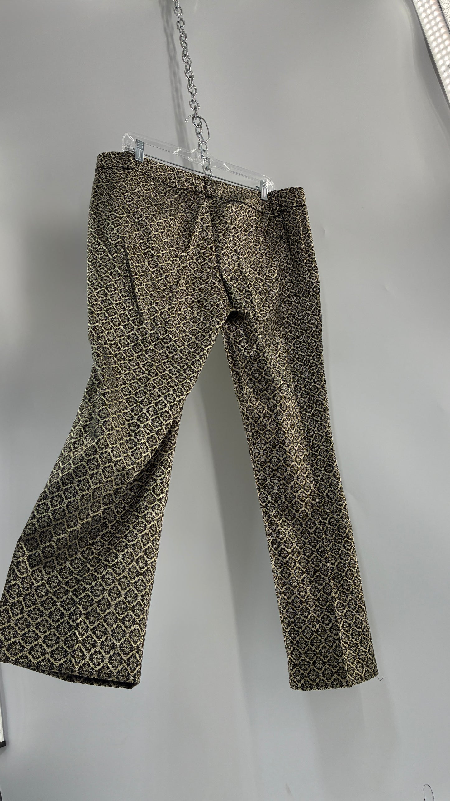 ANNE TAYLOR Signature Woven Pleated Trouser  (14)