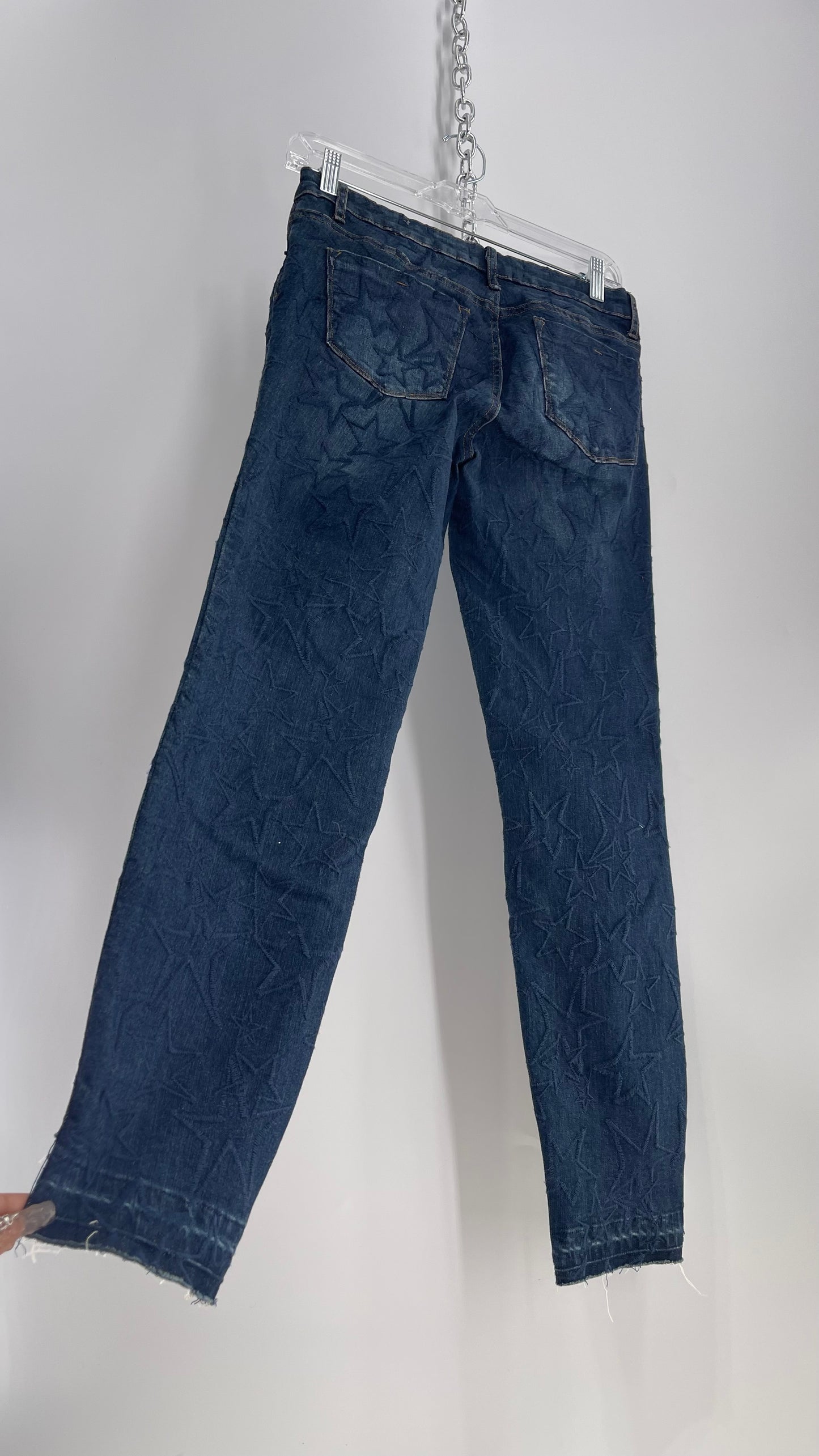 Tractr BLU Star Embroidered Jeans with Tags (28)