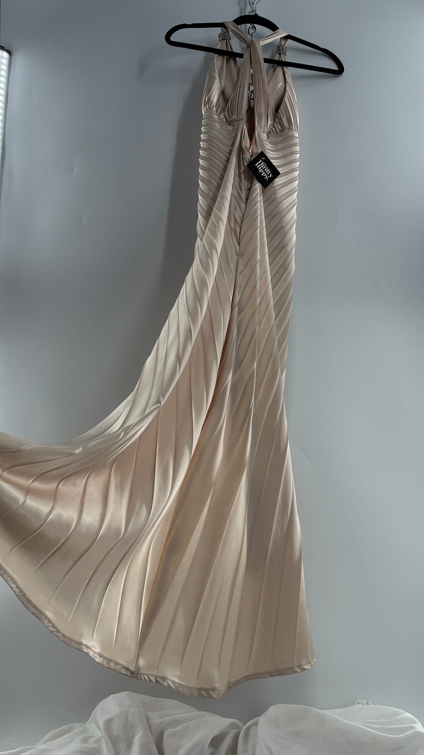 Vintage ISSUE Pleated Champagne Gown with Vented Slit Front, Crystal Bust Appliqué and Strap Cuffs (2)