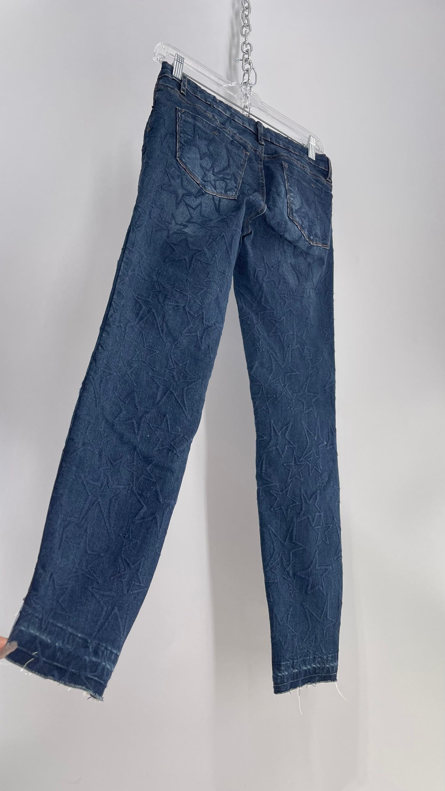 Tractr BLU Star Embroidered Jeans with Tags (28)