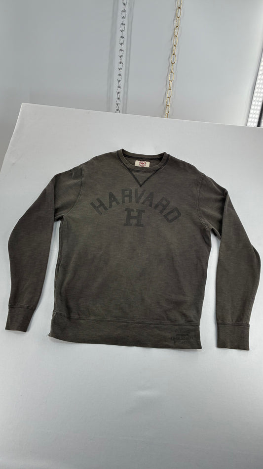 Vintage HARVARD Knit Long Sleeve (Medium)