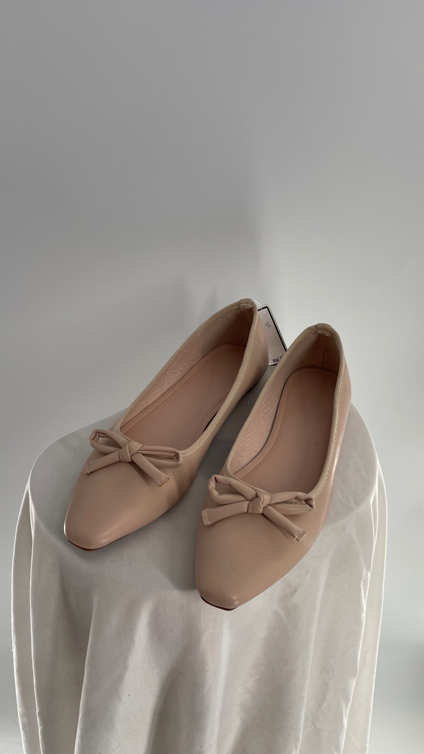 Pointed Toe Dusty Pink Ballet Flats (41)