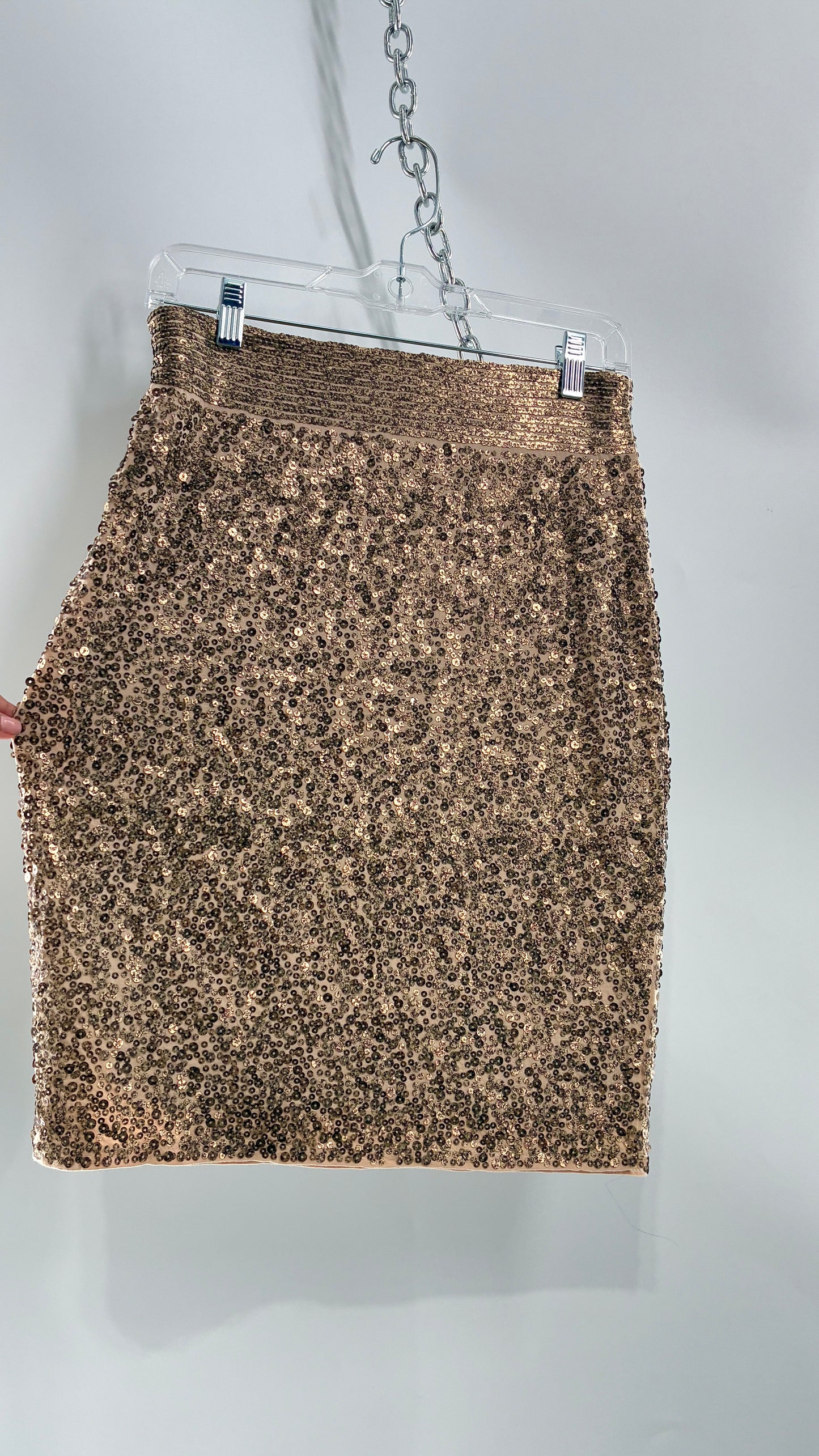 EXPRESS Sequin Bronze Skirt with Thick Band (XS)