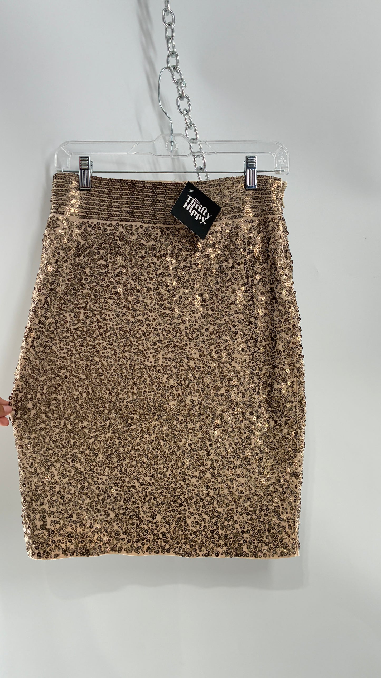 EXPRESS Sequin Bronze Skirt with Thick Band (XS)
