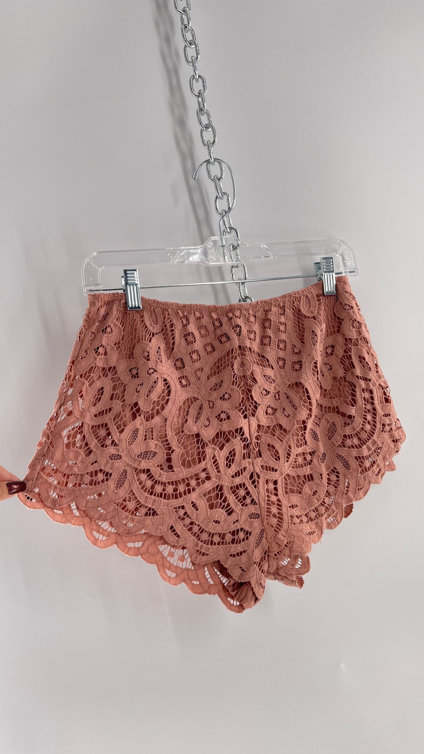 Intimately Free People Dusty Pink Lace Shorts (Small)