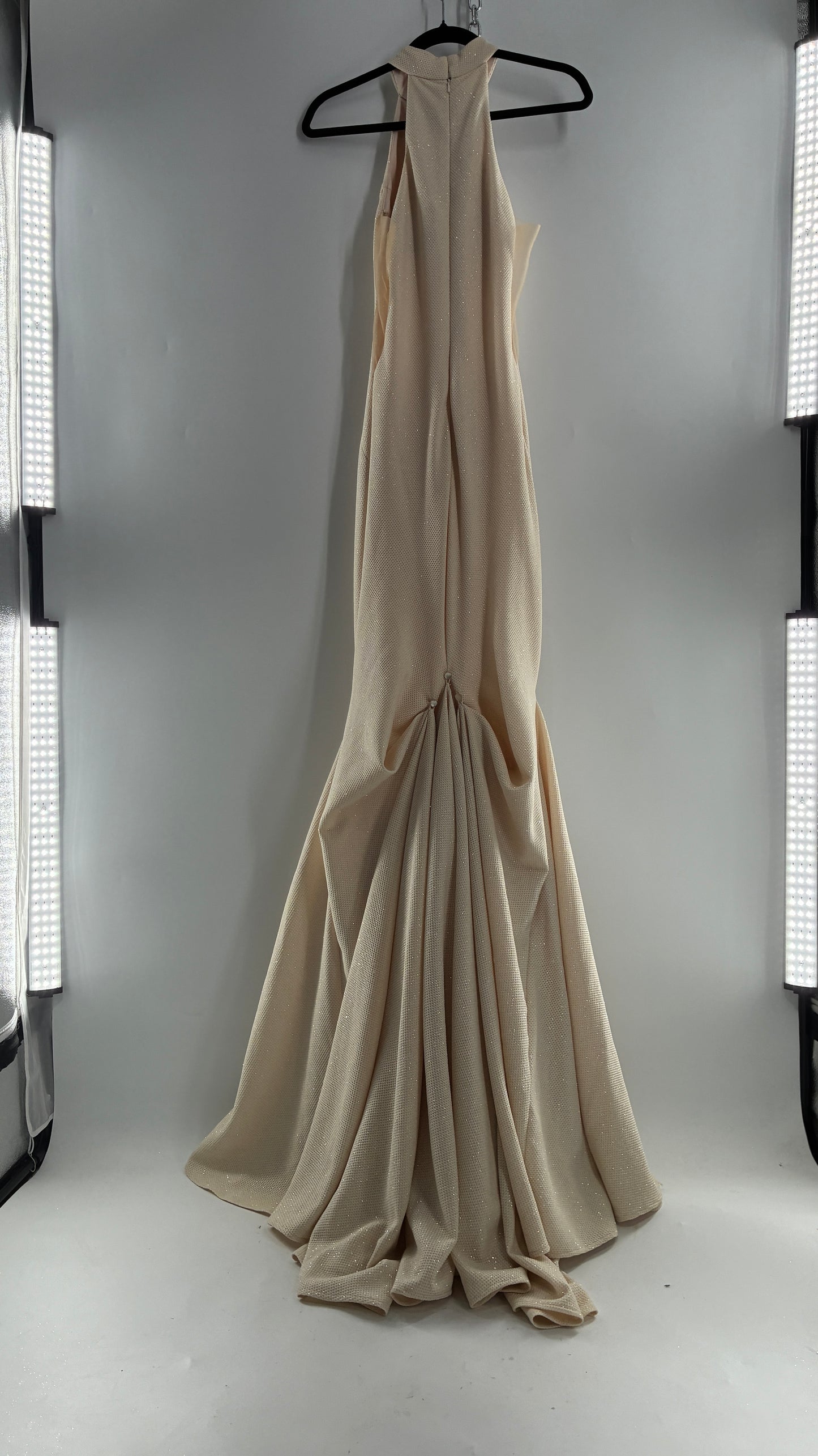 Vintage JOVANI Ivory Glittery Full Length Gown with Sheer Side Panels, Hourglass Illusion, and Pin Up Train (8)