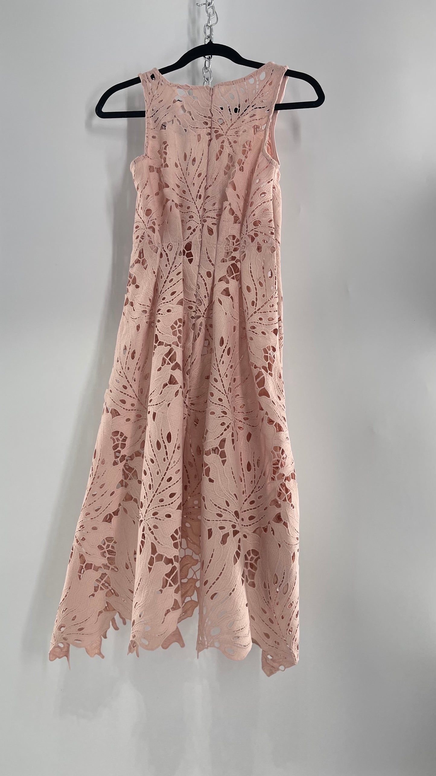 Anthropologie Eva Franco Baby Pink Completely Laser Cut Lace Palm Leaf Knee High Dress (2)